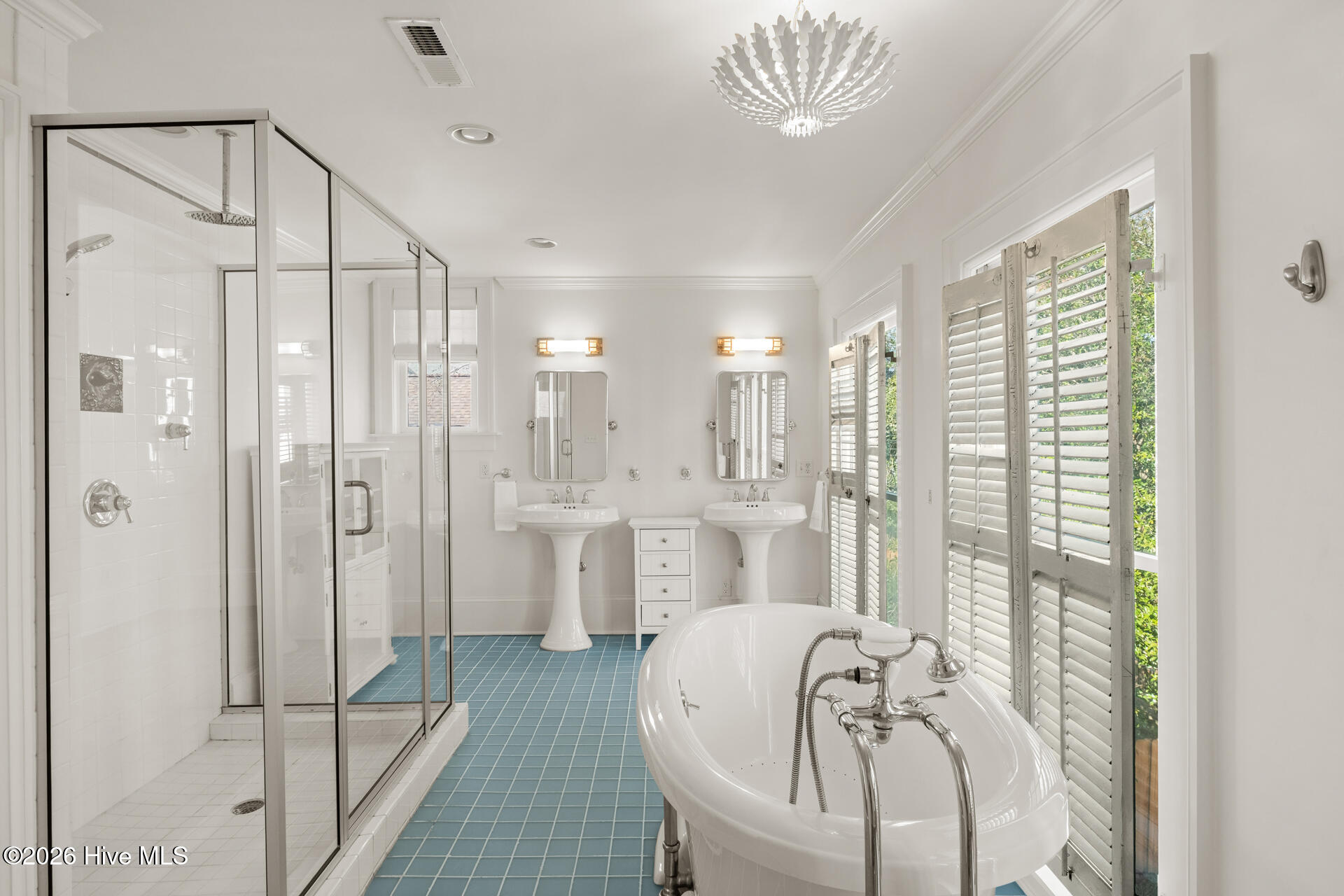 100556093 | Photo 35