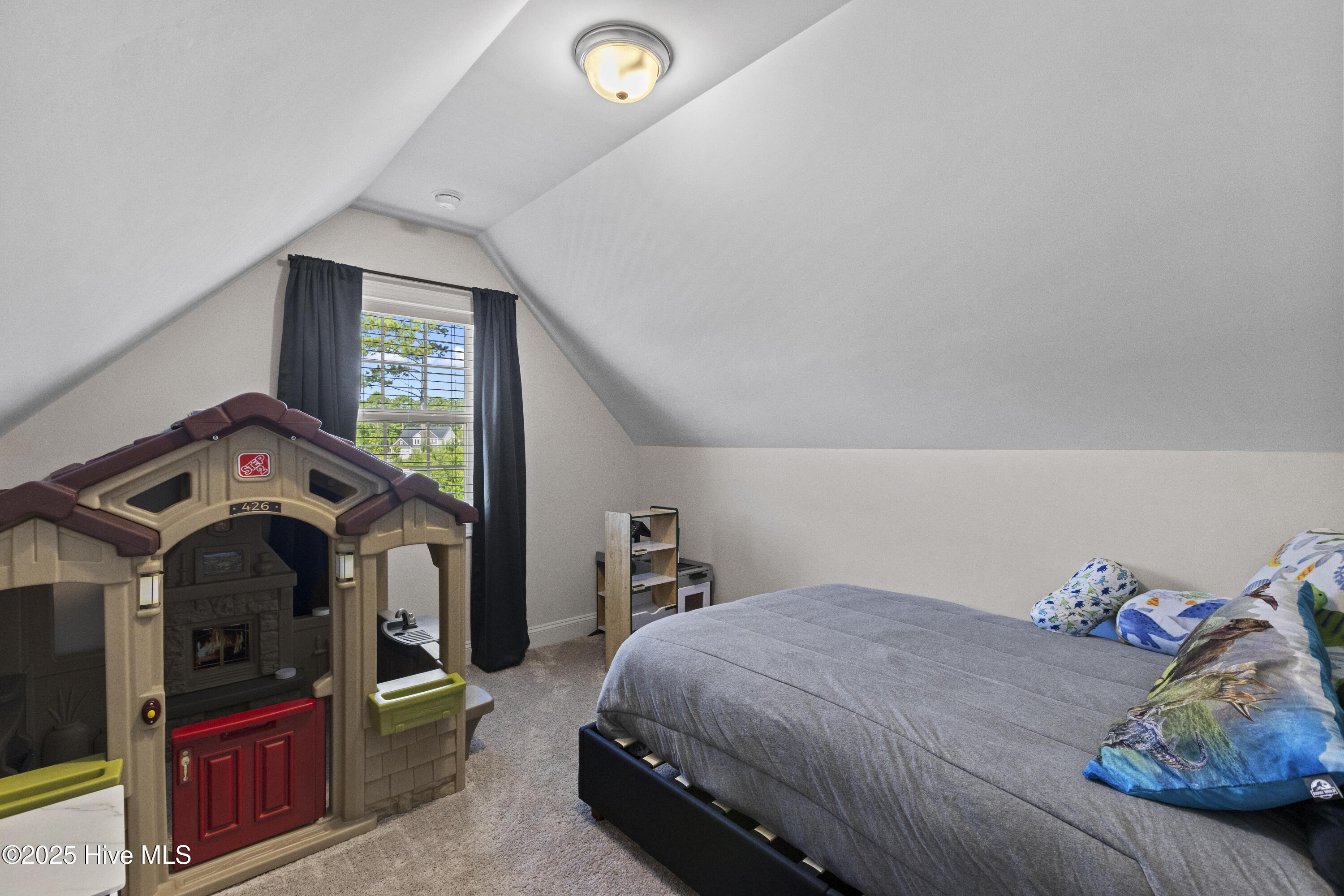 100518858 | Photo 33