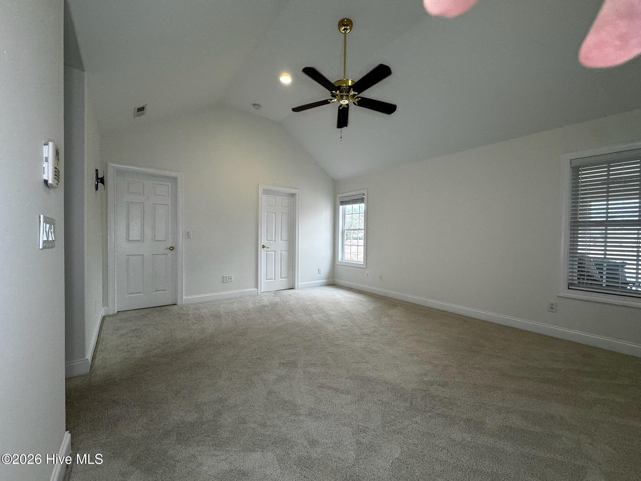 100558874 | Photo 17