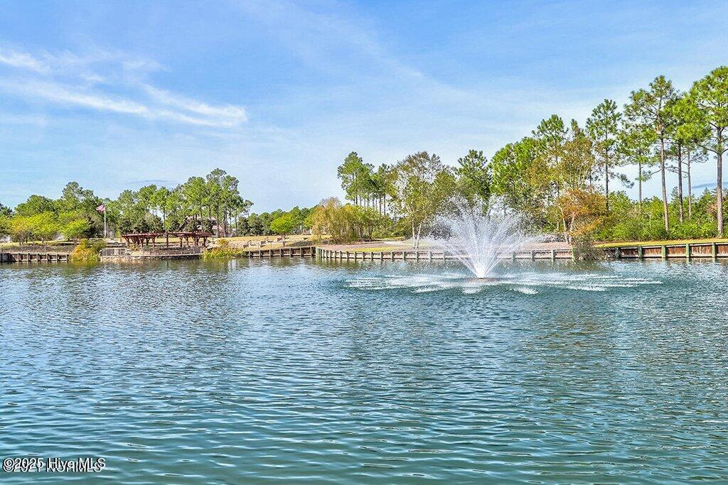 100523896 | Photo 63