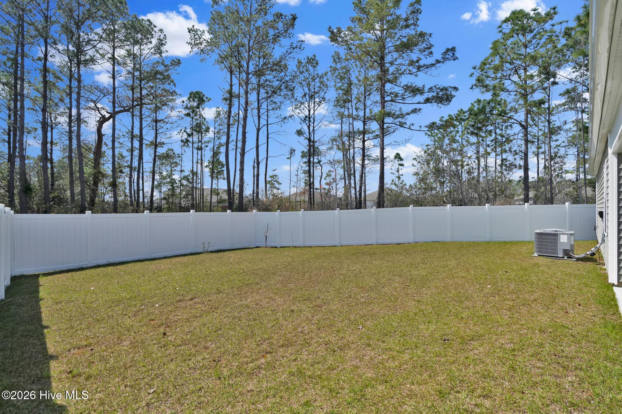 100563987 | Photo 34