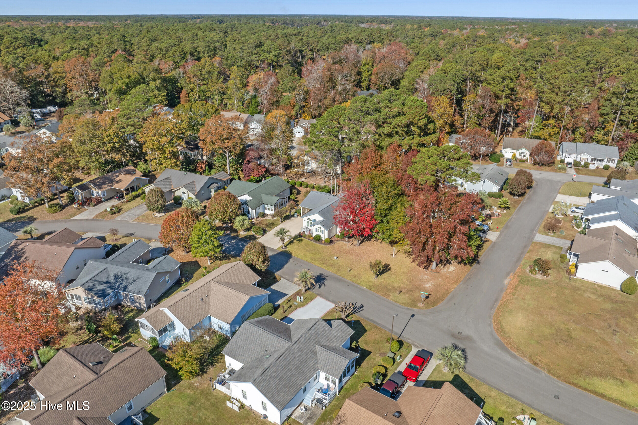 100542117 | Photo 30