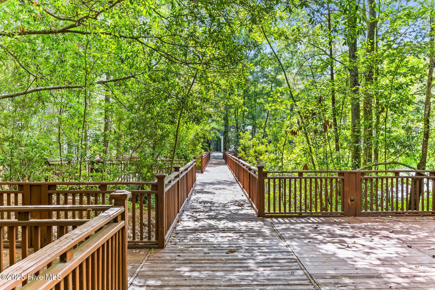 100495433 | Photo 40