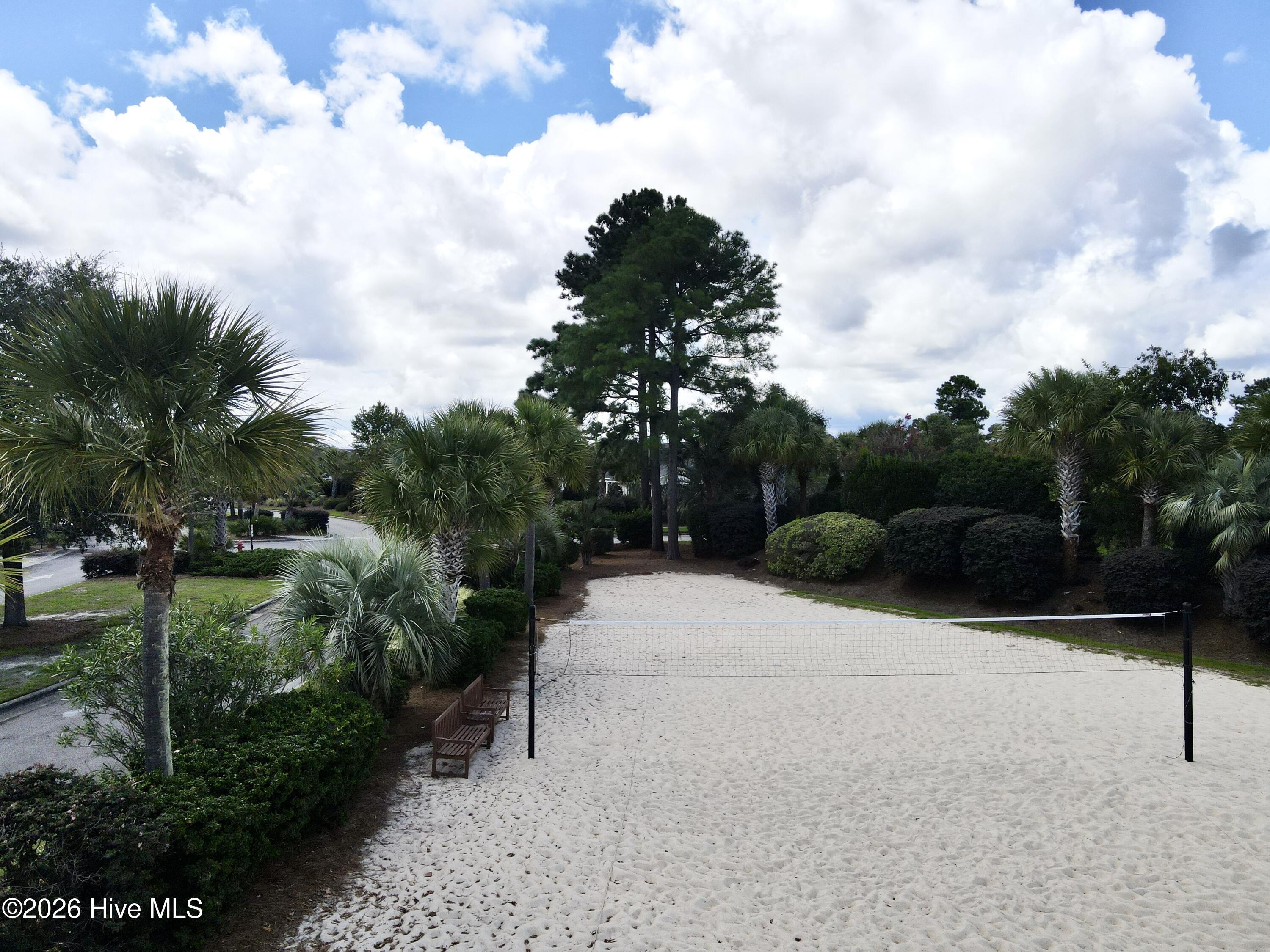 100554924 | Photo 52