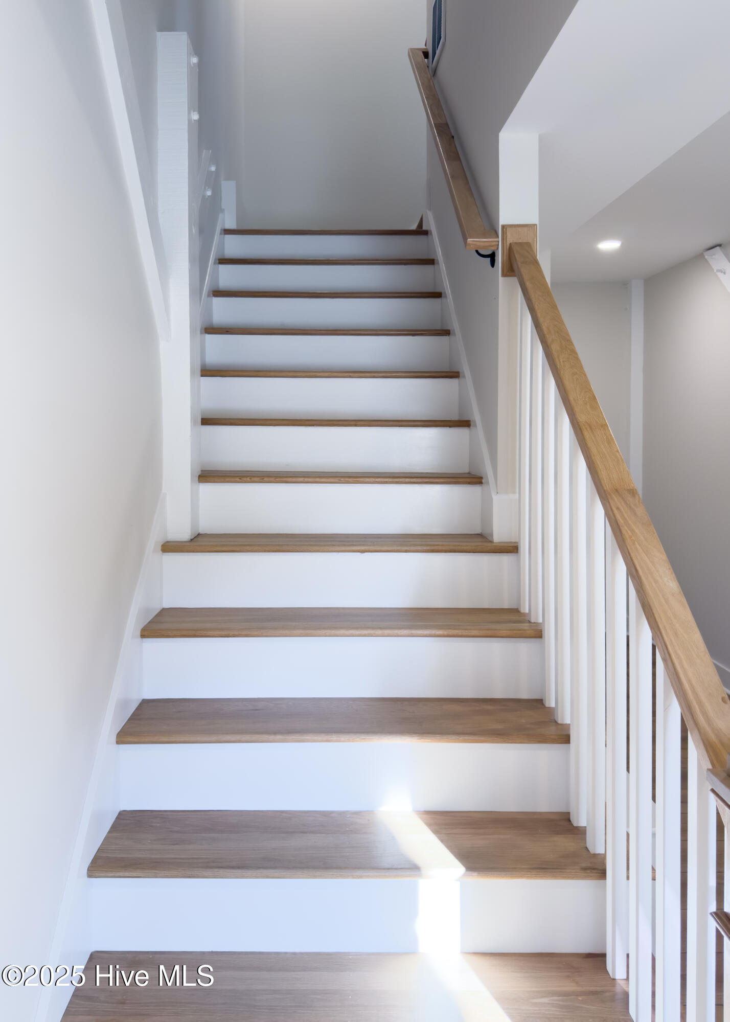 100525288 | Photo 68