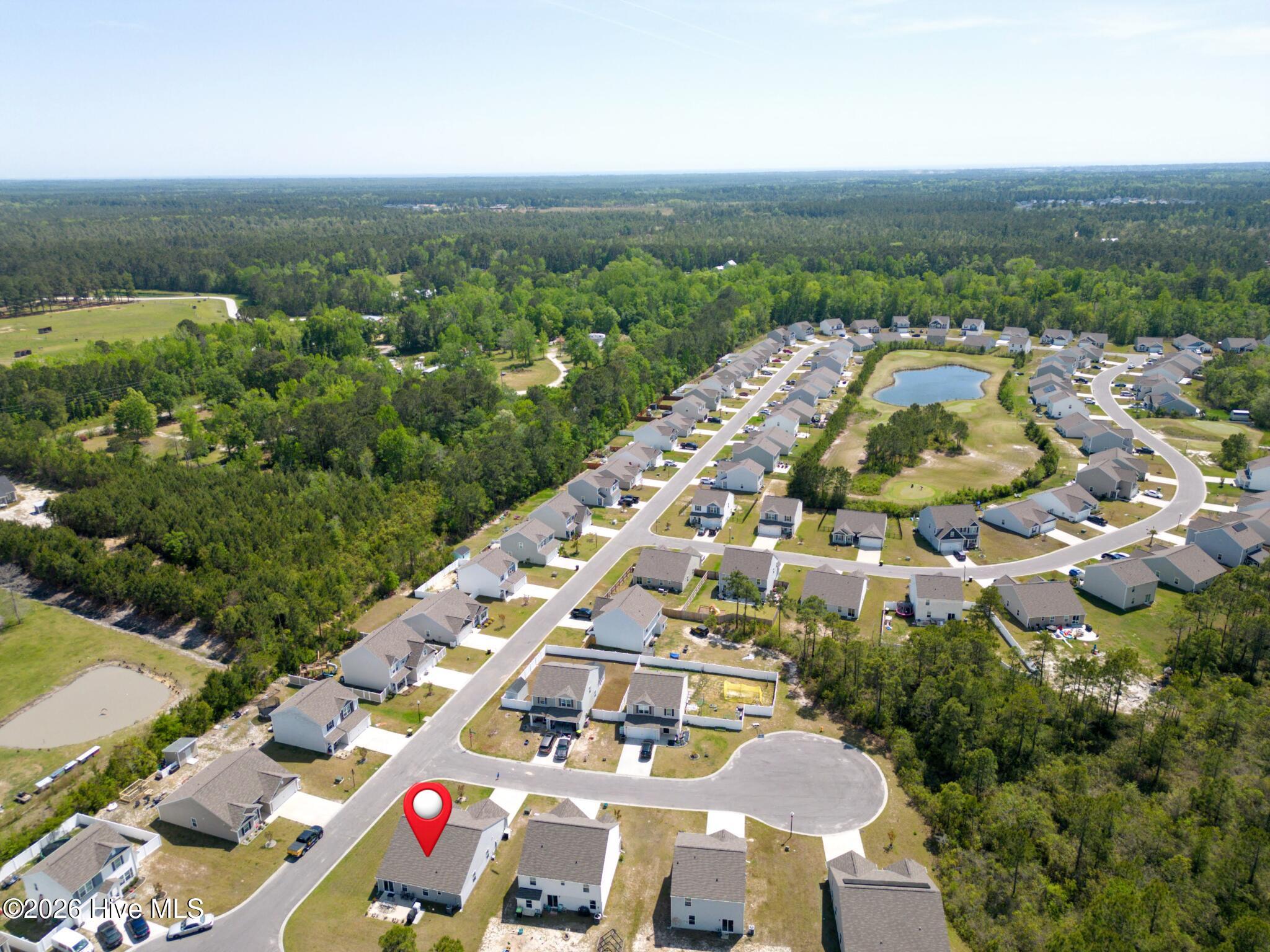 100568159 | Photo 29