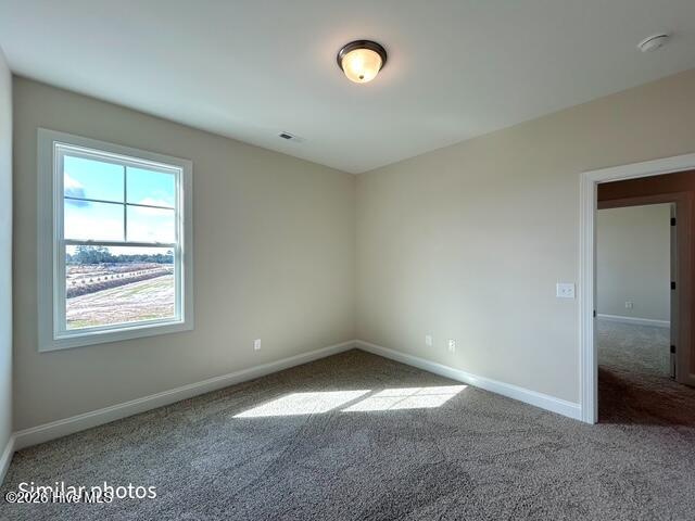 100553886 | Photo 51