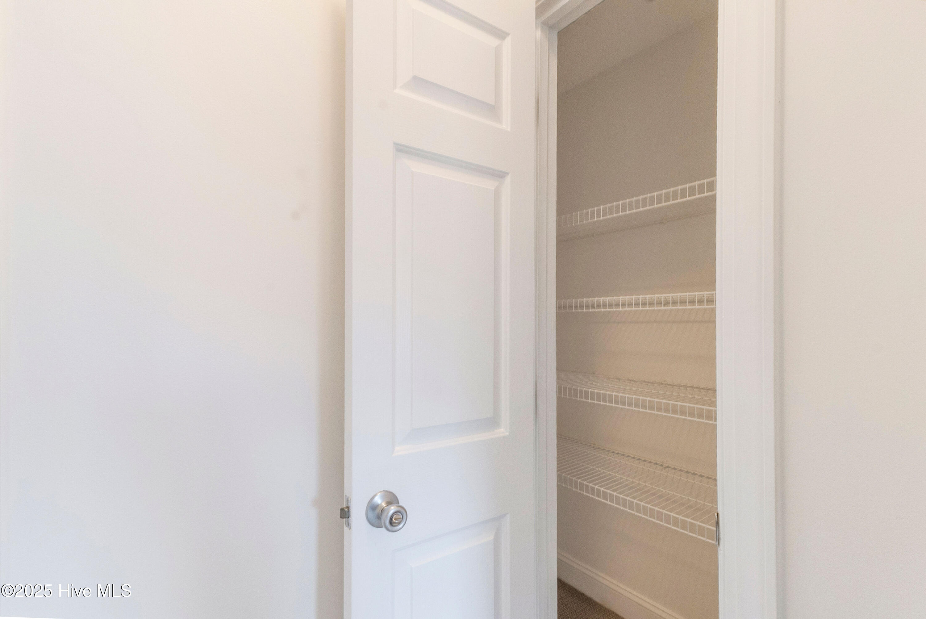 100546645 | Photo 41