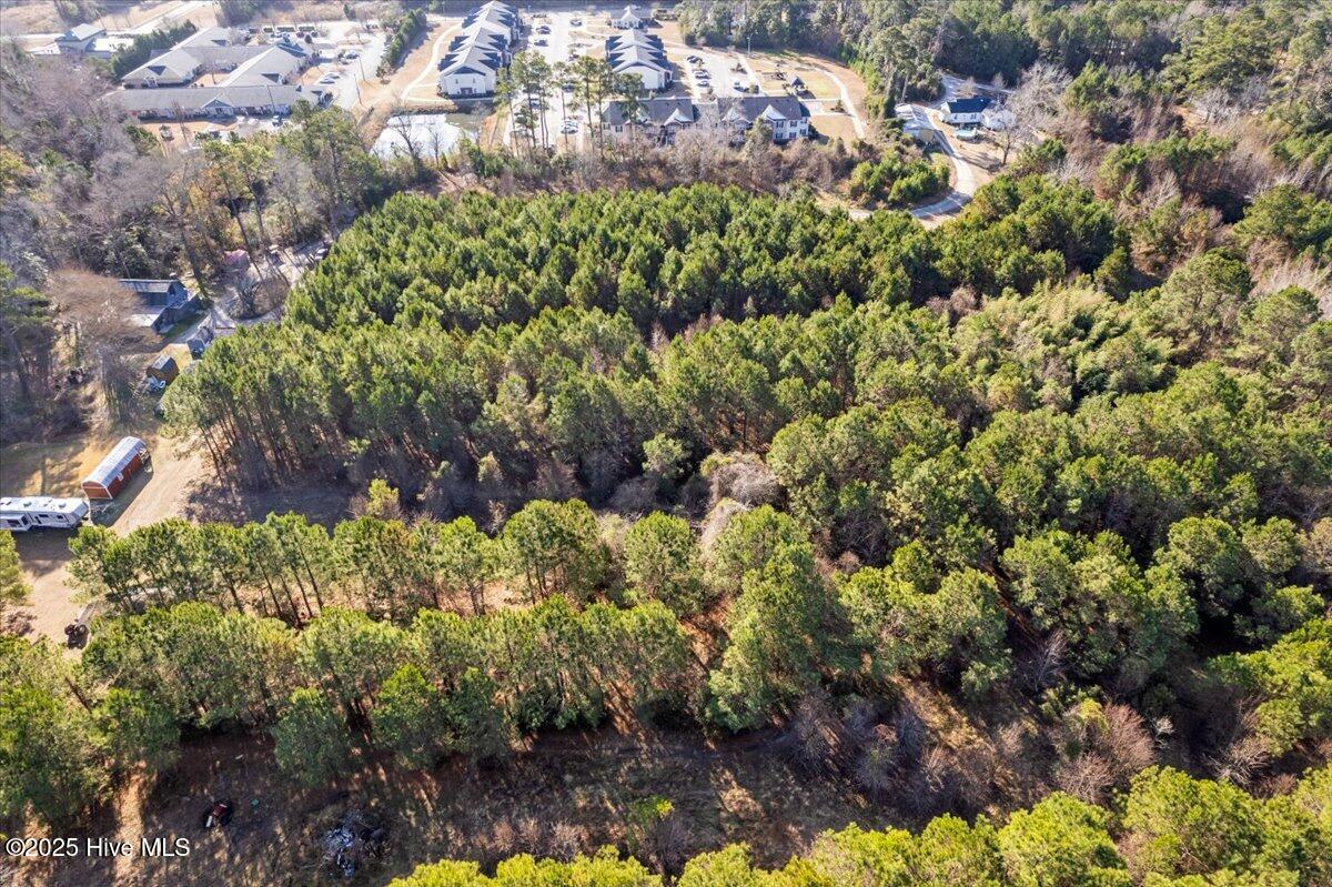 100488410 | Photo 21