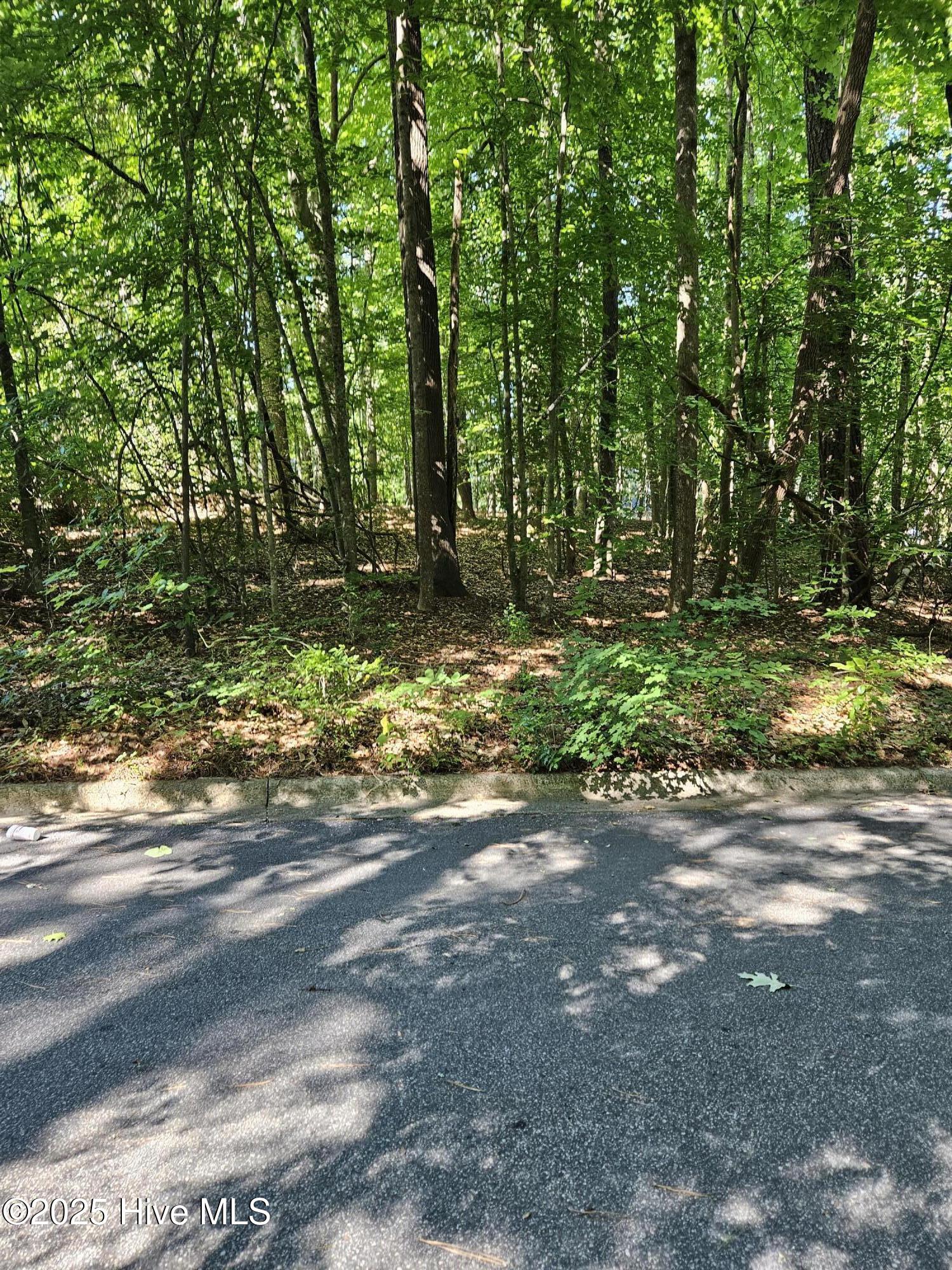 nice wooded lot in lovely residential area in Williamston