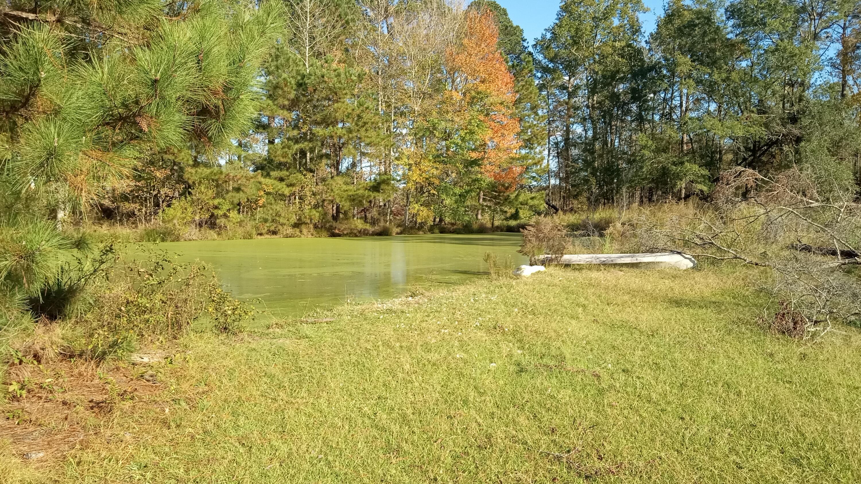 TBD2 SC-23, Edgefield, SC, 29824