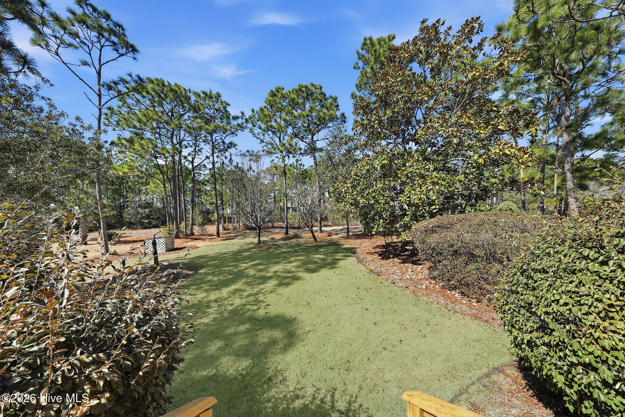 100558304 | Photo 20