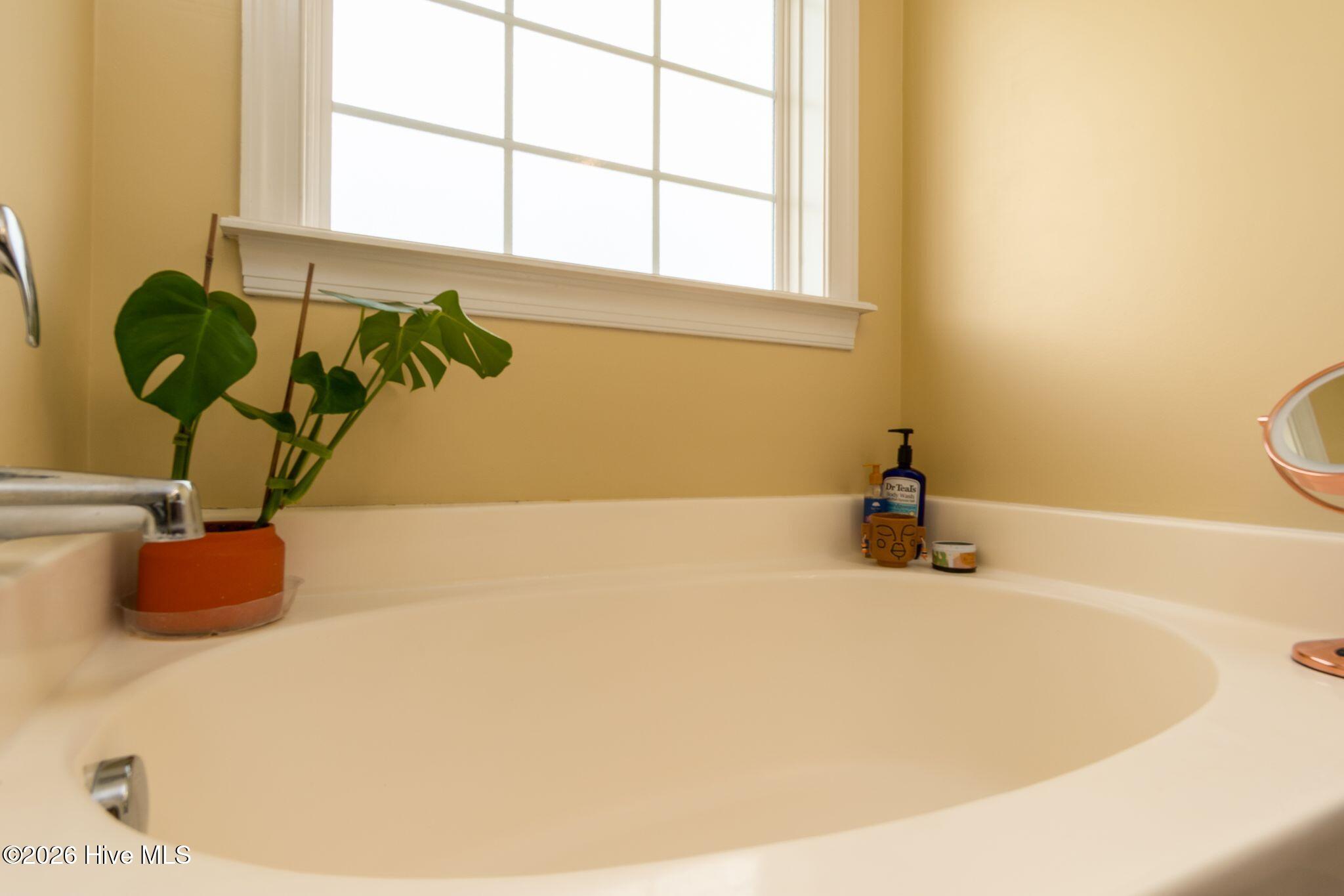 100565163 | Photo 29