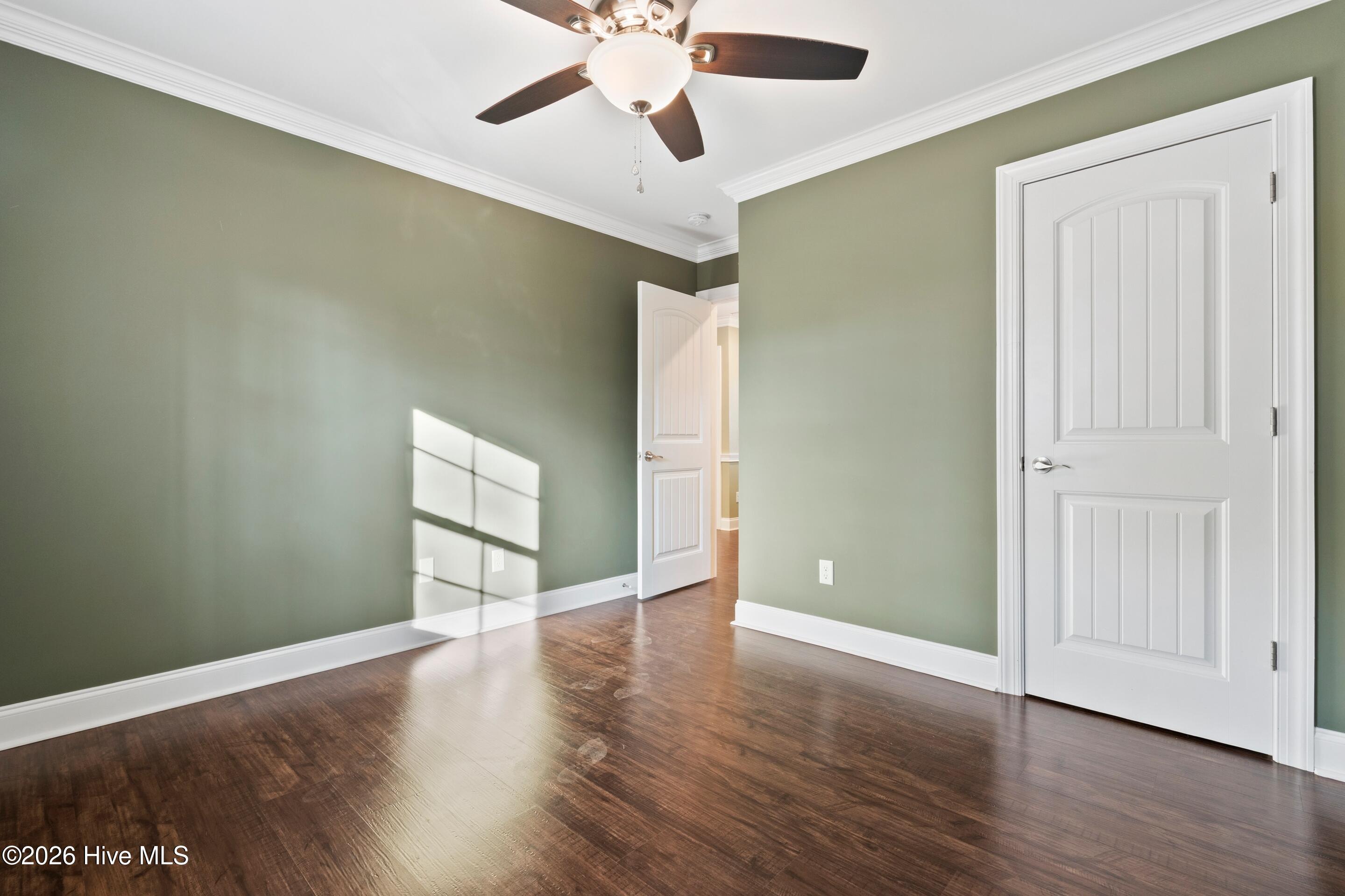 100548335 | Photo 17