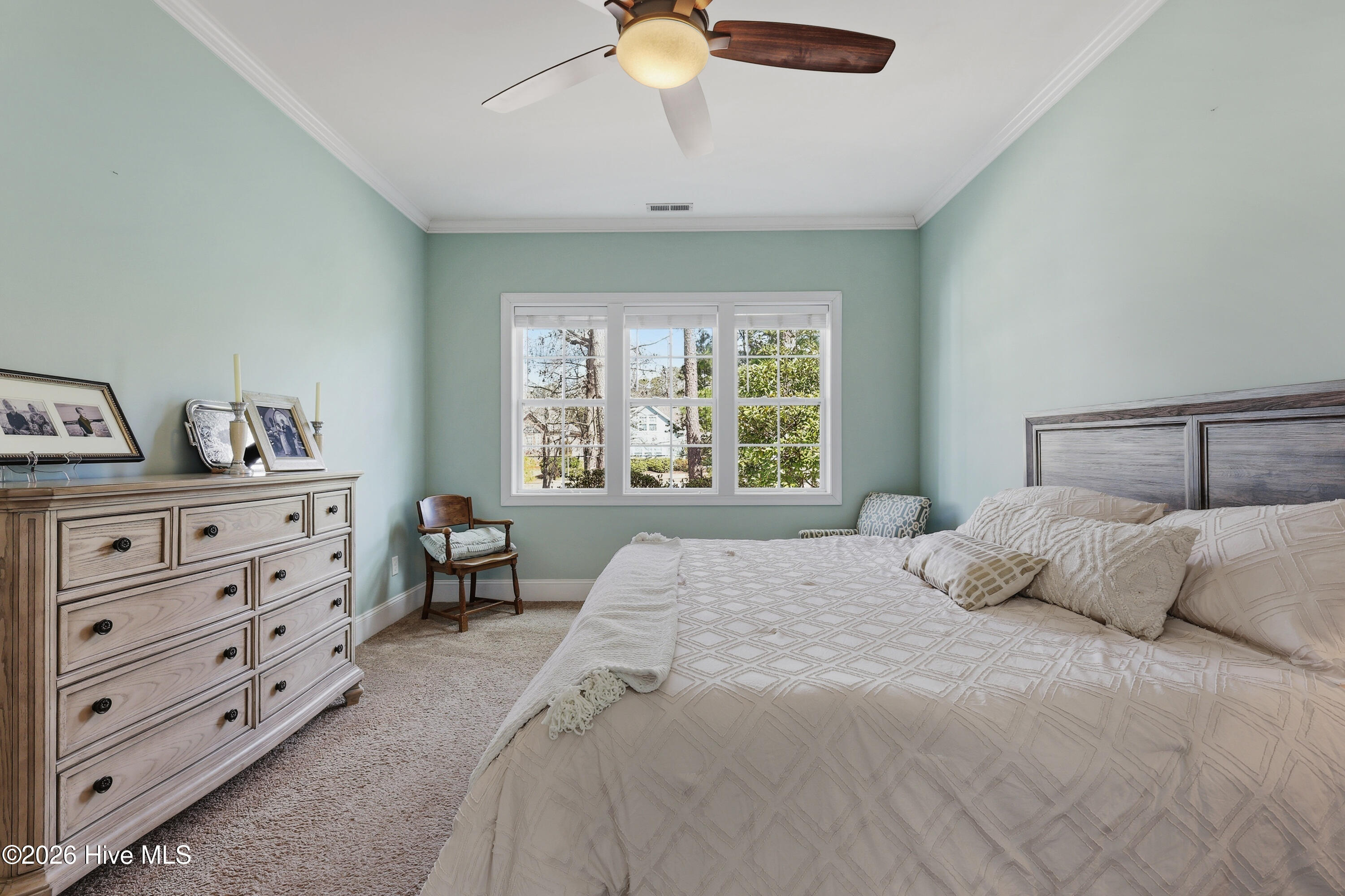 100554068 | Photo 29