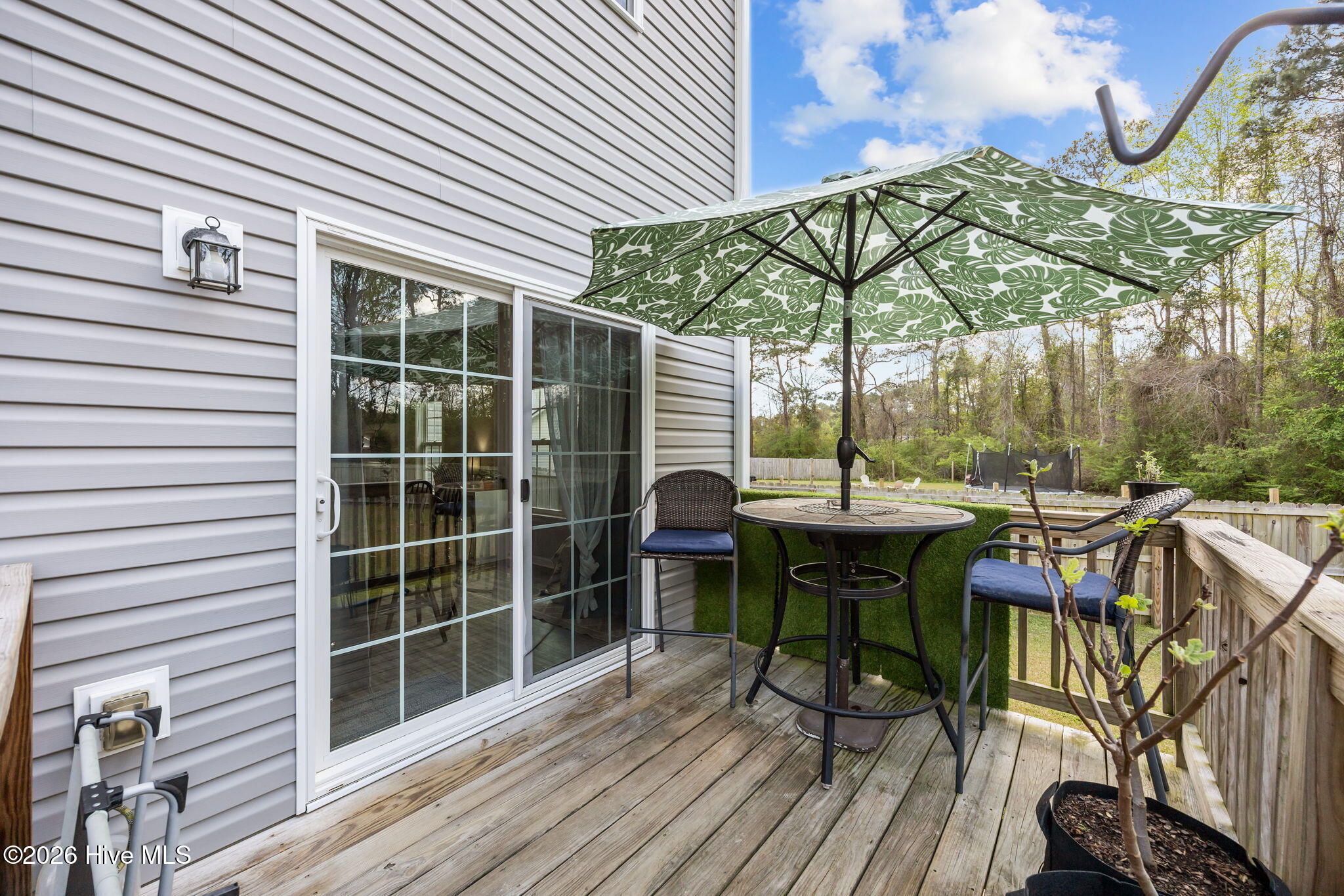 100564221 | Photo 35