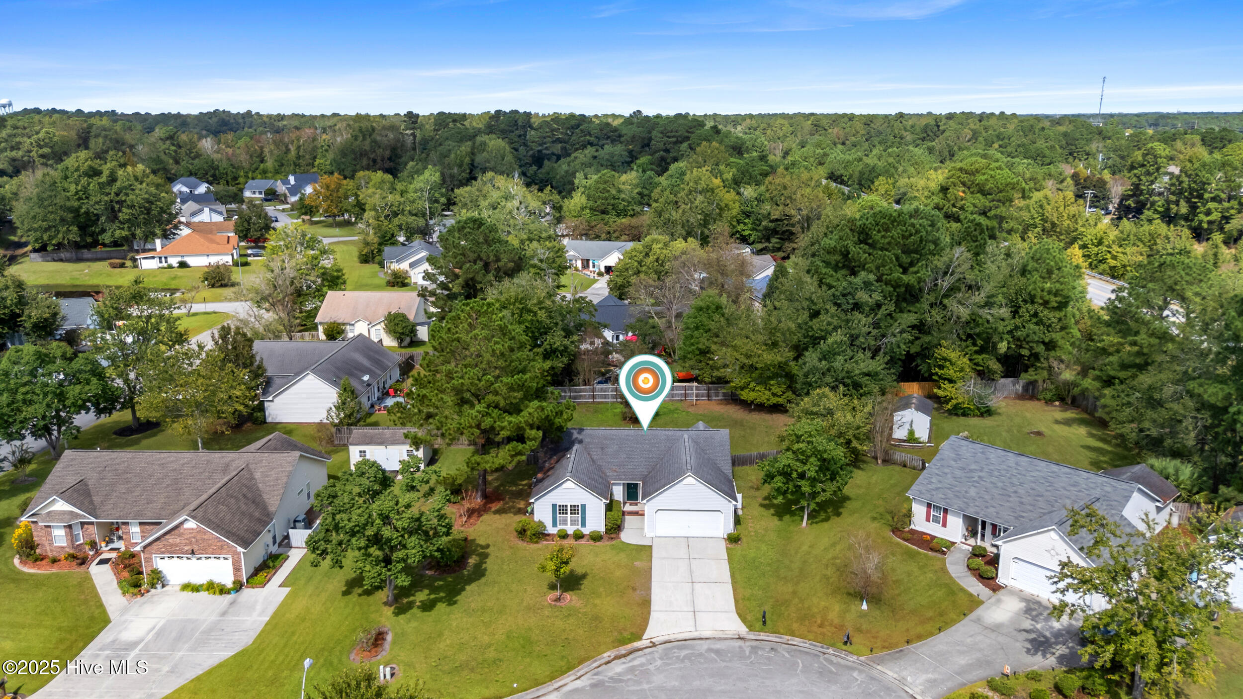 100535783 | Photo 35