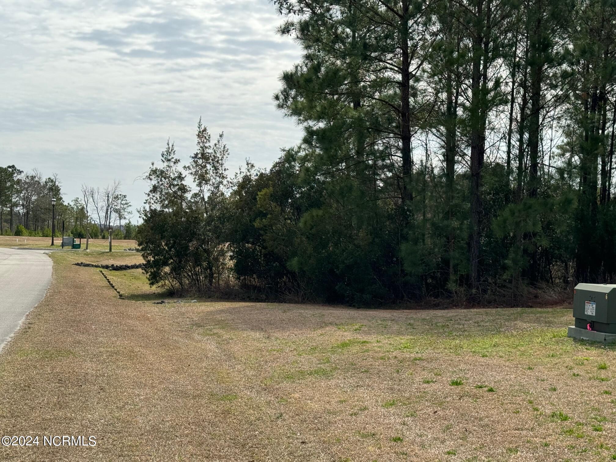 100559909 | Photo 29