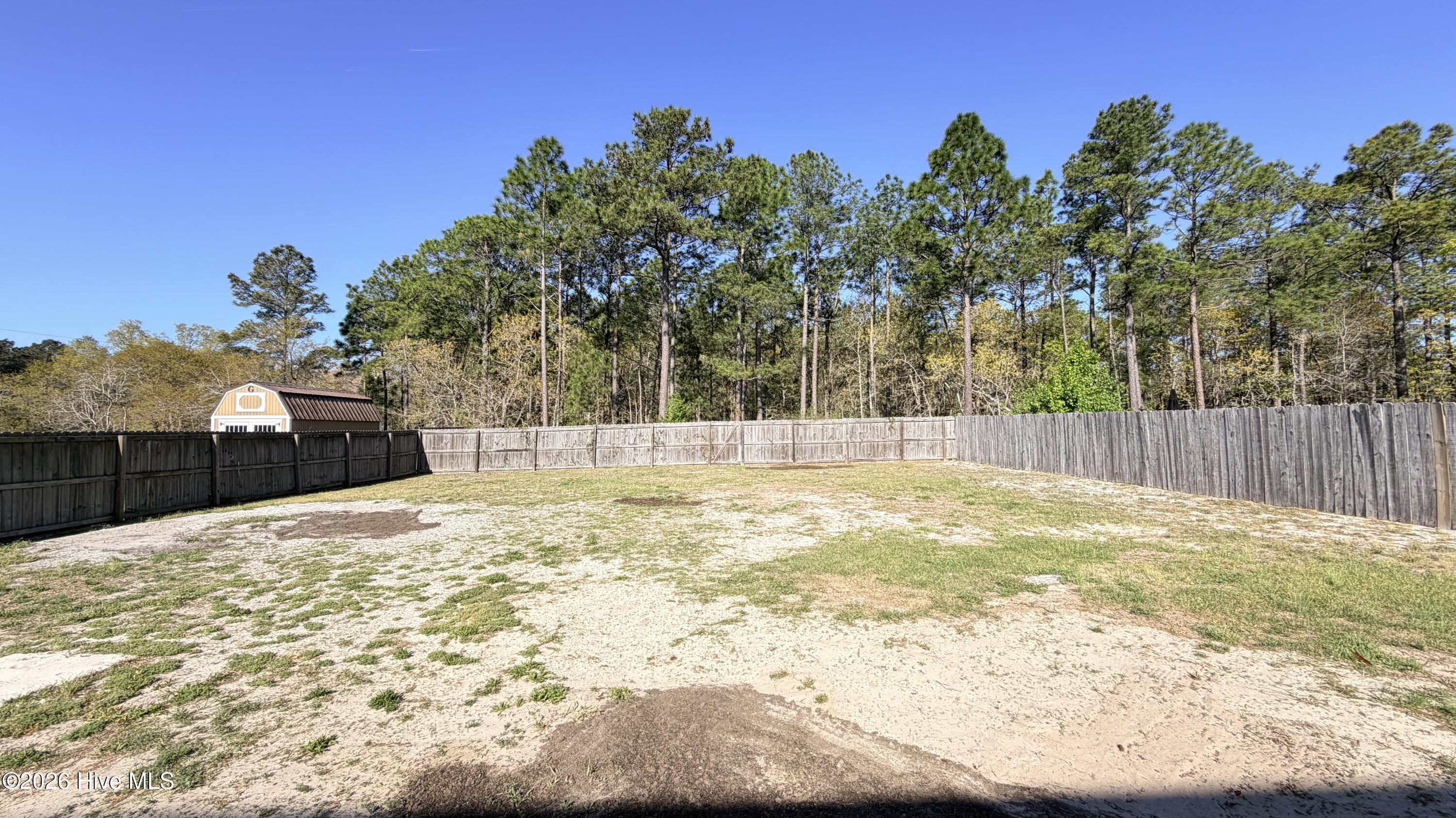 100559165 | Photo 17