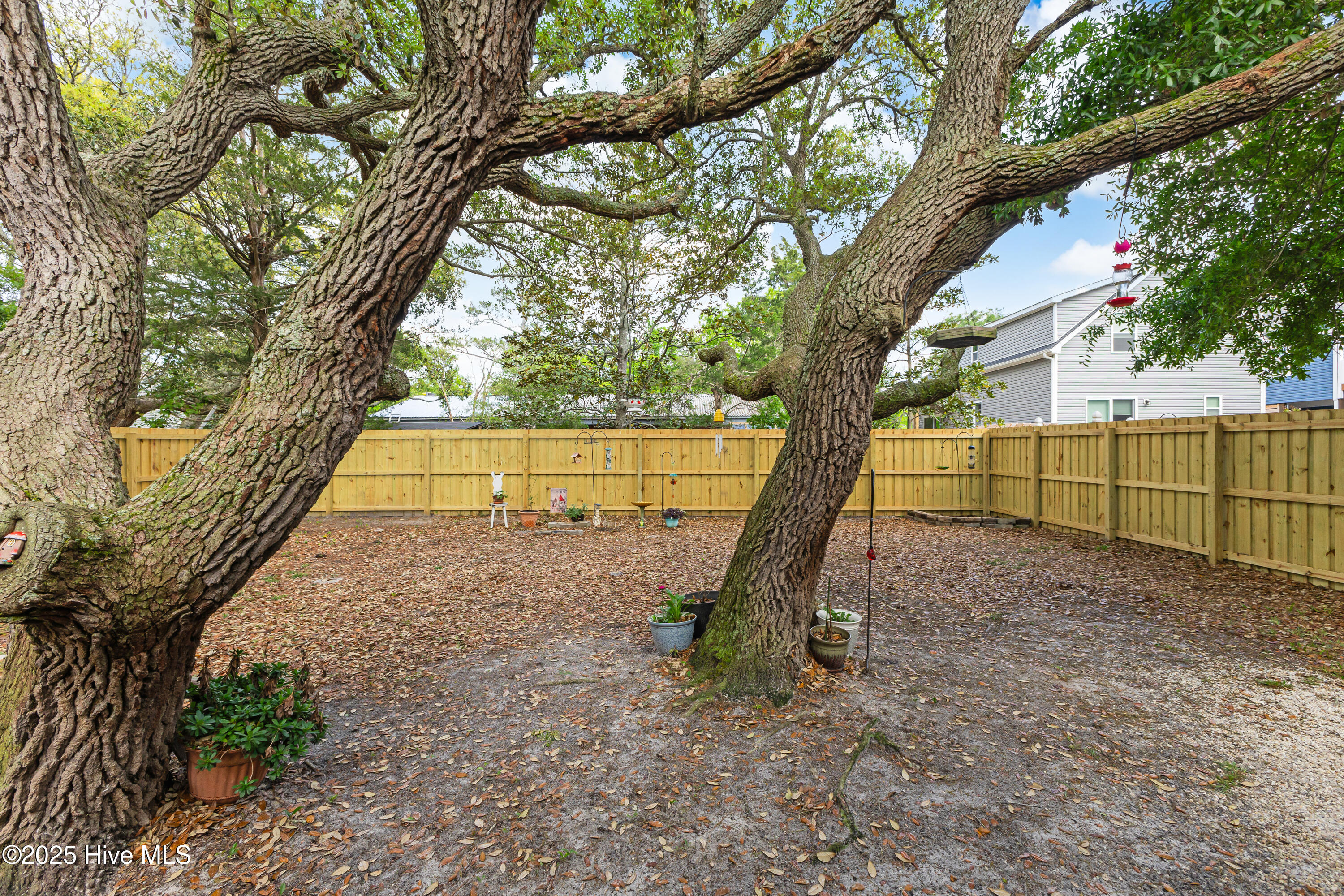 100533103 | Photo 29