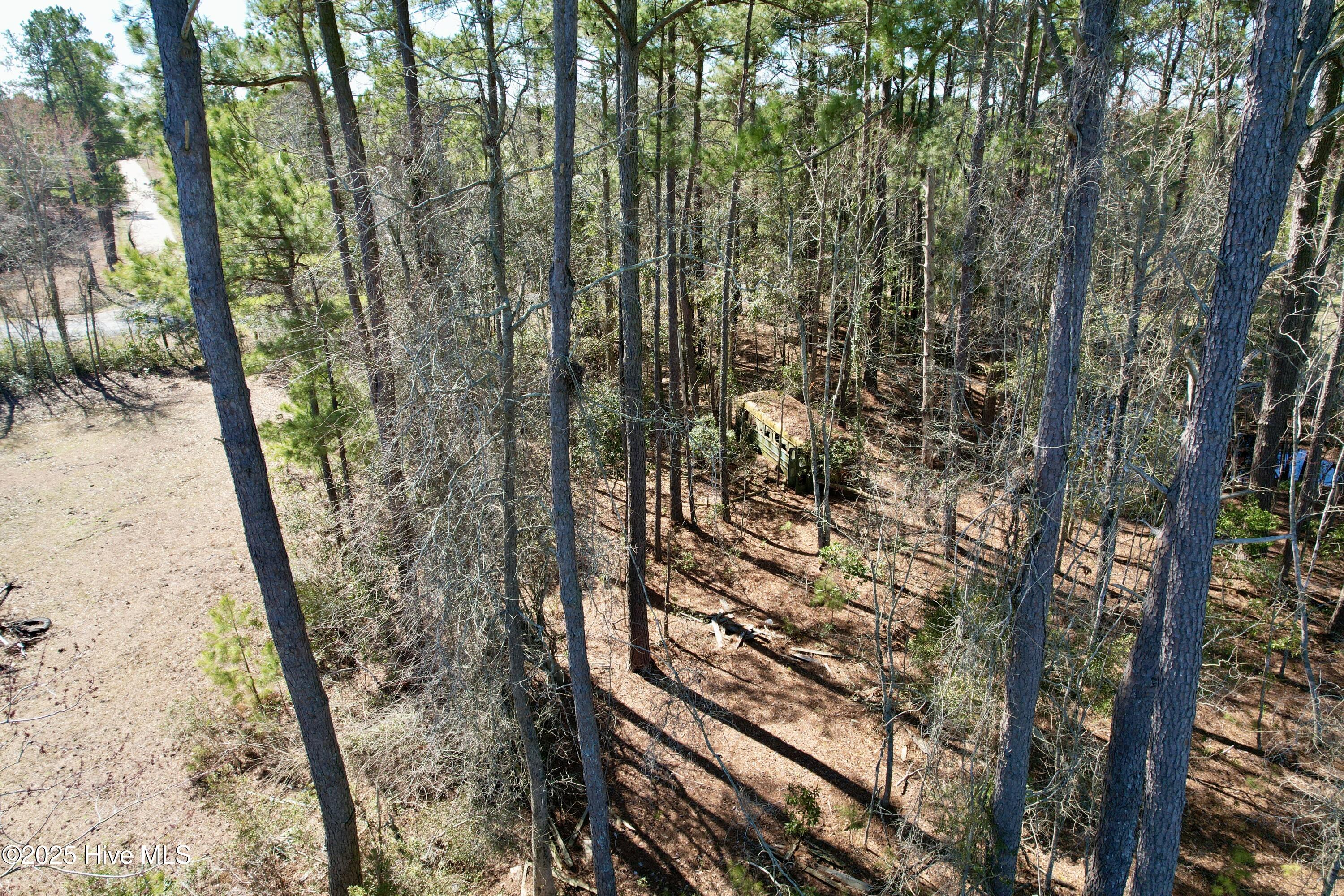 100490813 | Photo 15