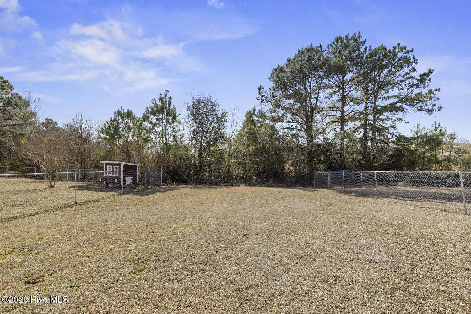 100555483 | Photo 16