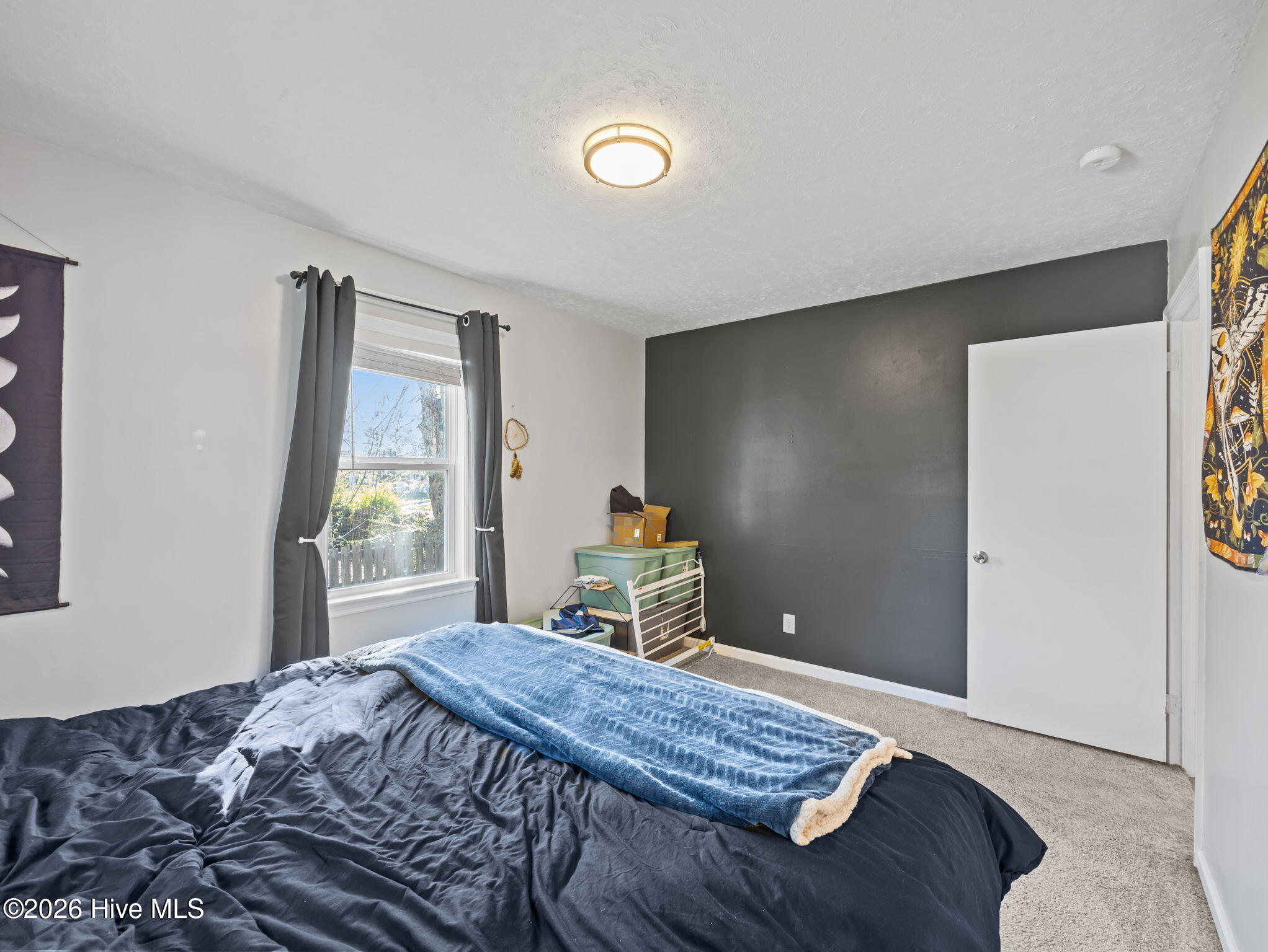 100565303 | Photo 10