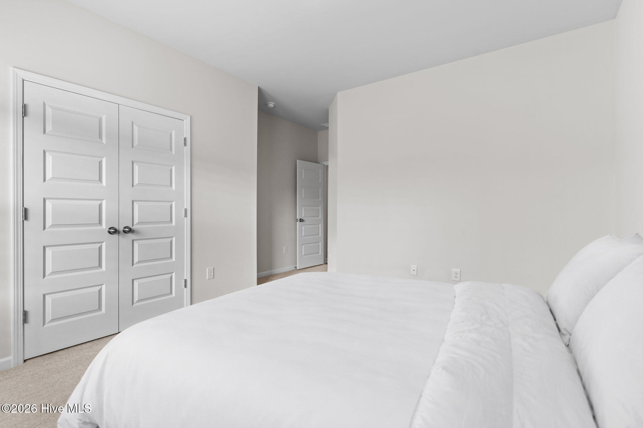 100553645 | Photo 22