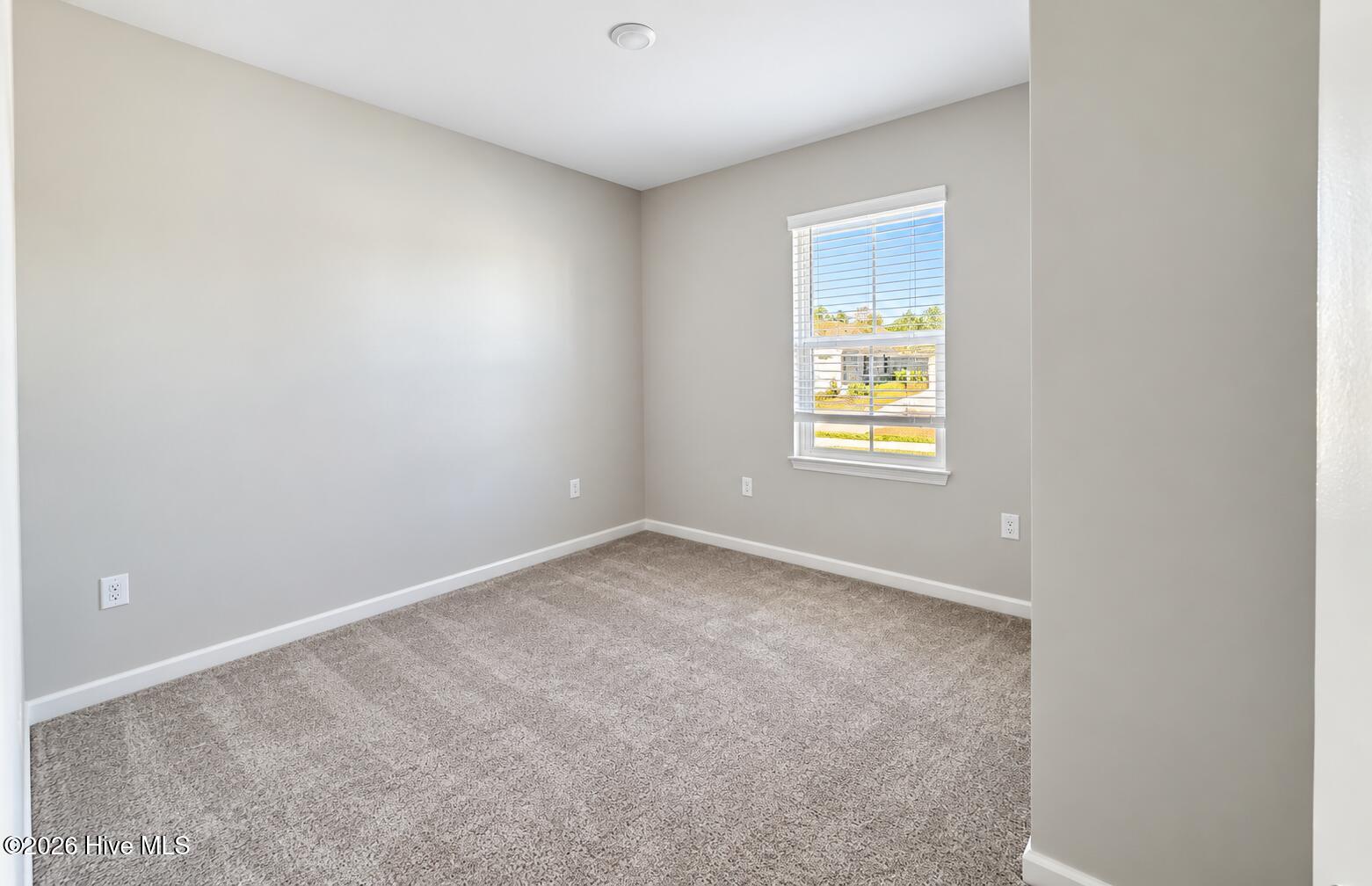 544 HS Dunlin- 1010- BED2