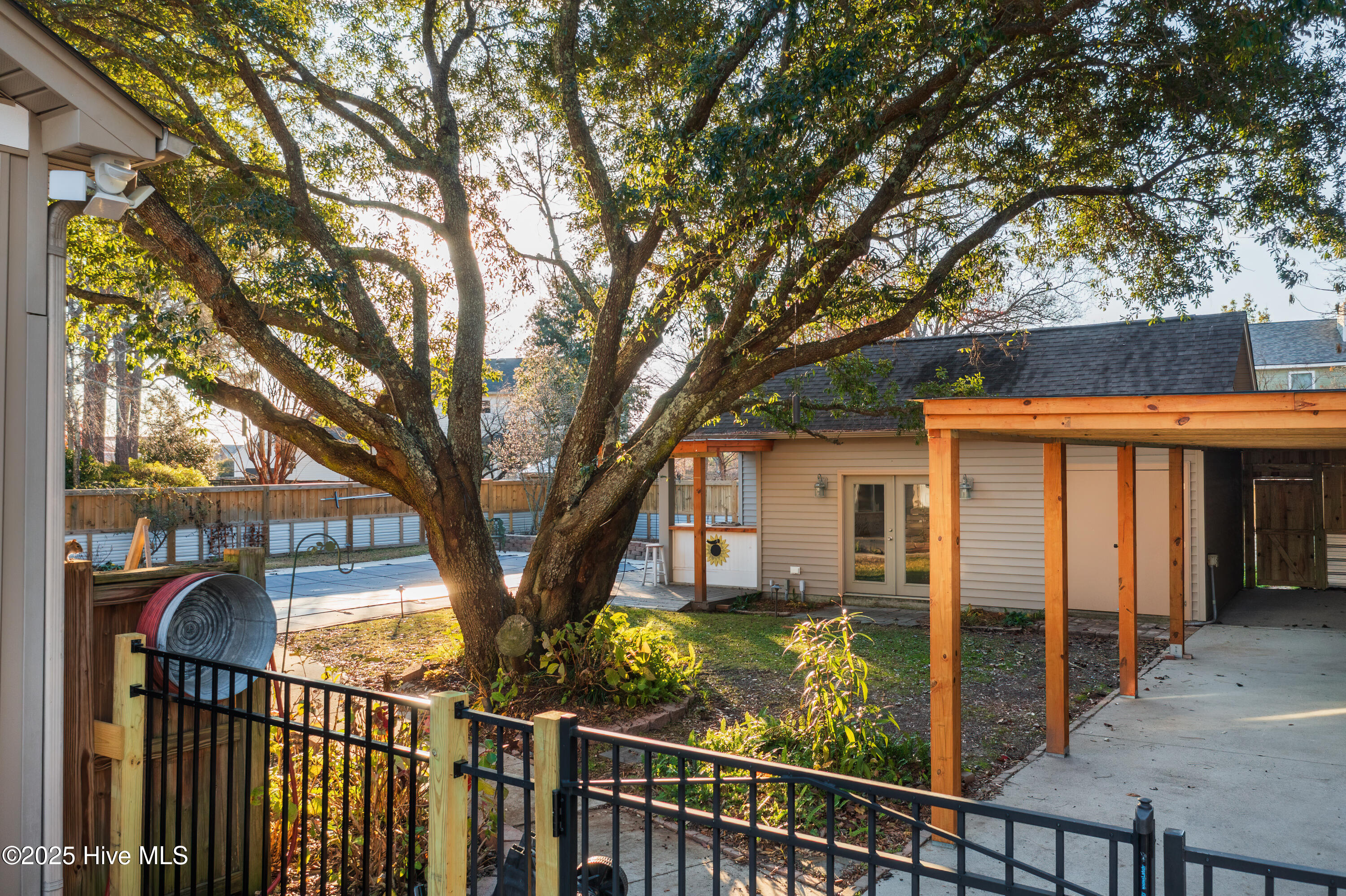 100547414 | Photo 23