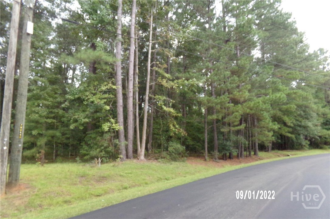 Photo 3 of Land for sale at Lot 1 Conaway Rd, Bloomingdale, GA 31302 | MLS# SA364500 | Listing updated on 2026-09-12