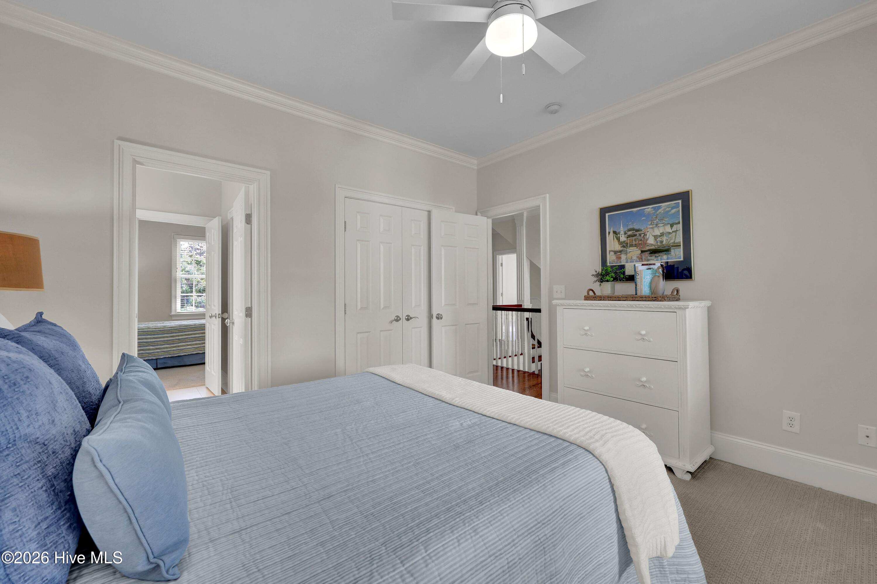 100569370 | Photo 37