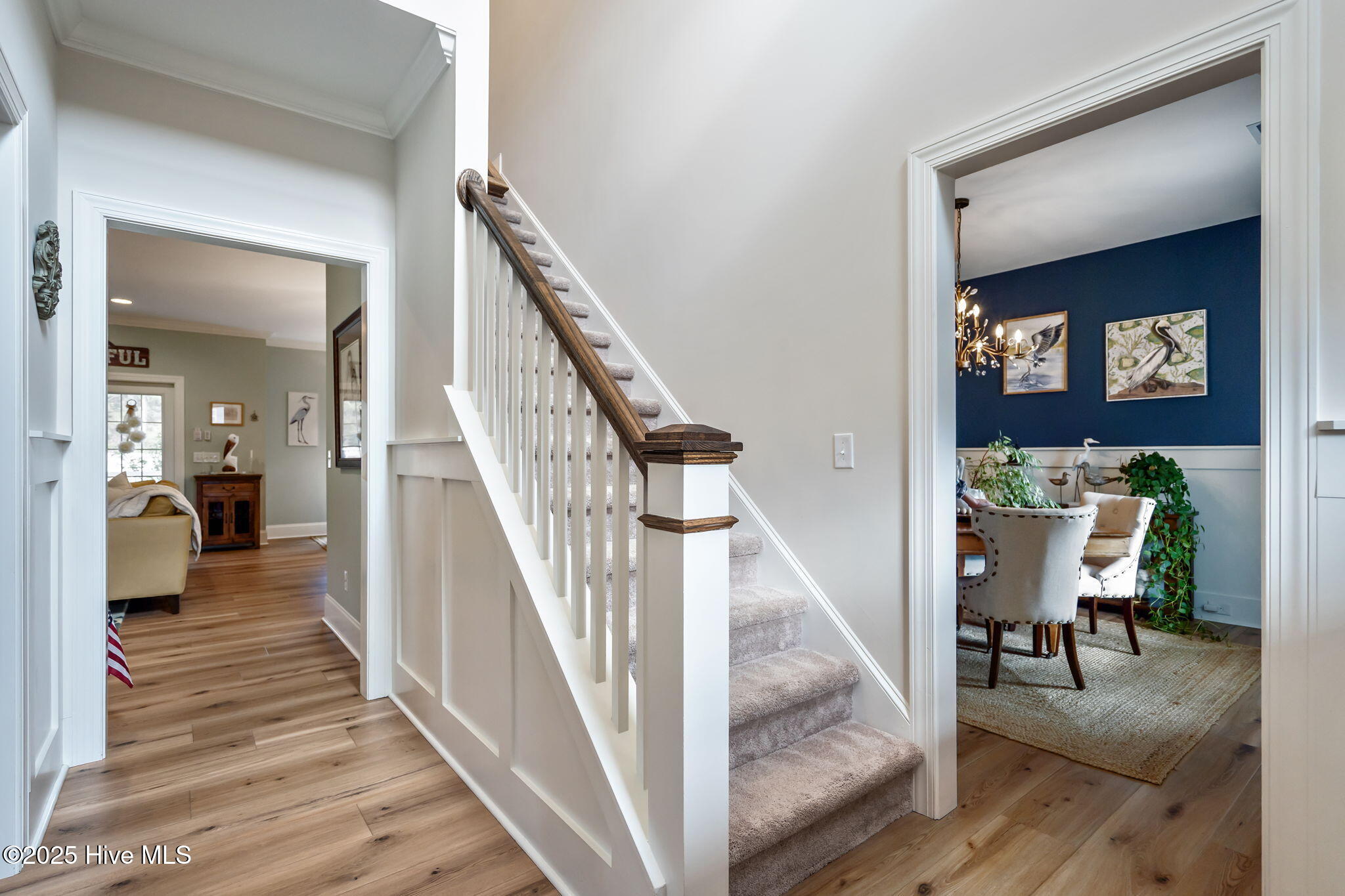 100543629 | Photo 30