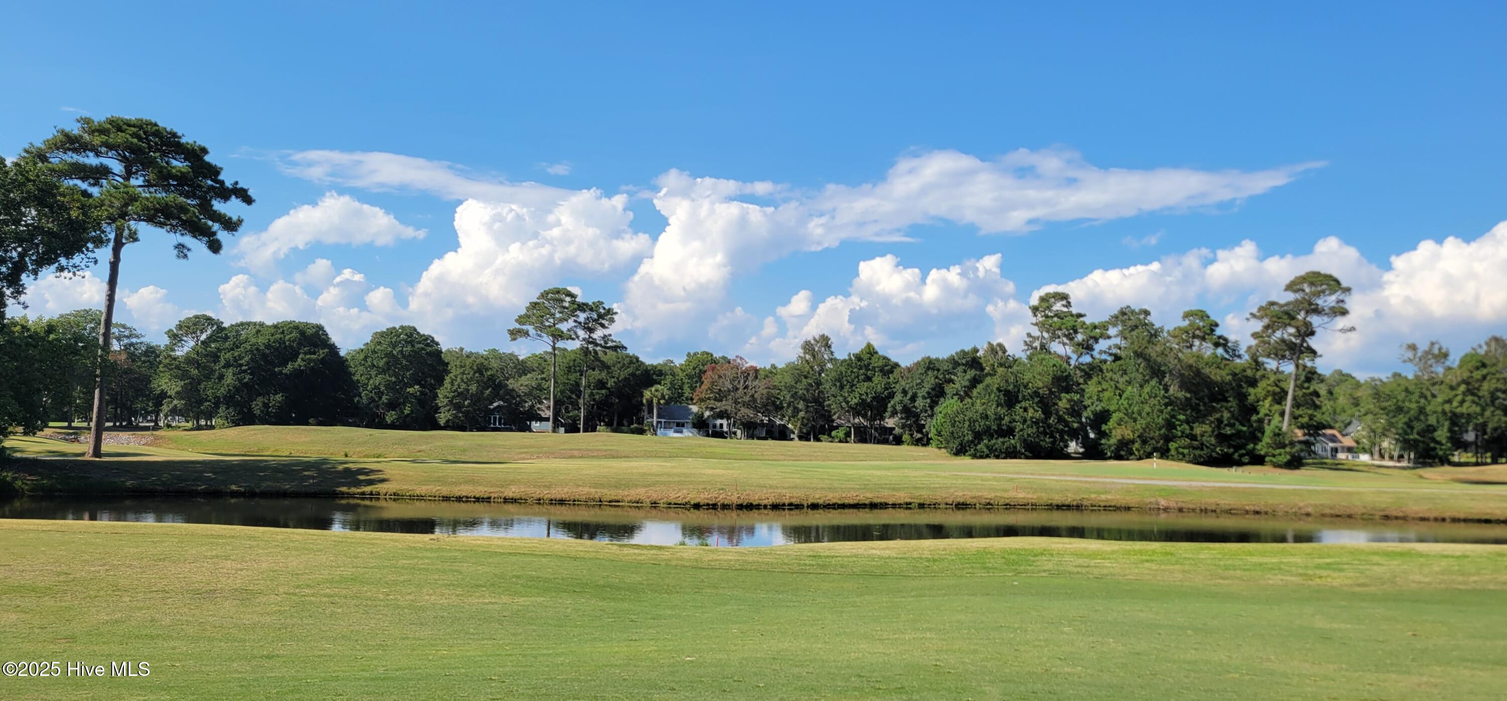 100524429 | Photo 55