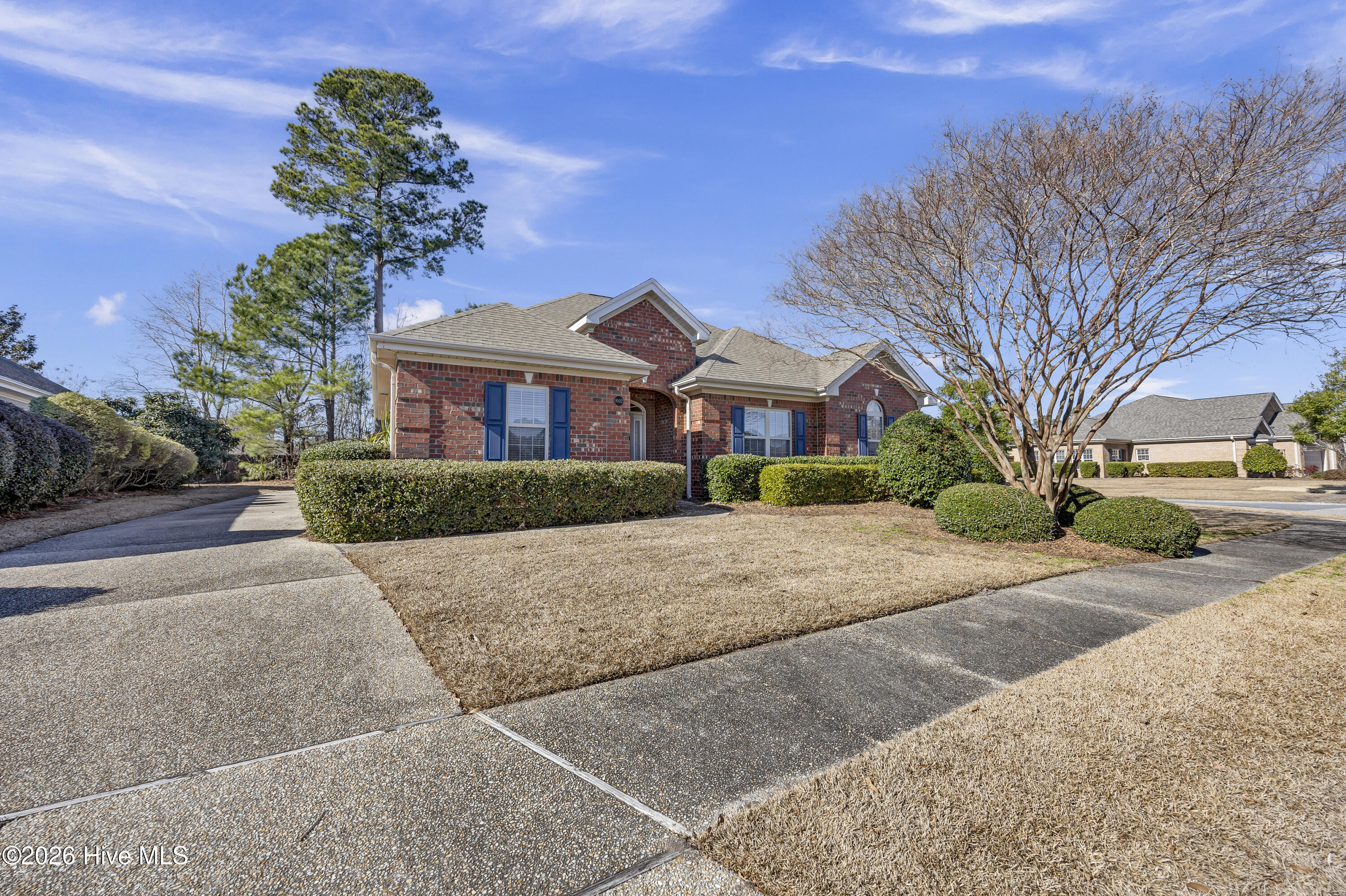 100549247 | Photo 28