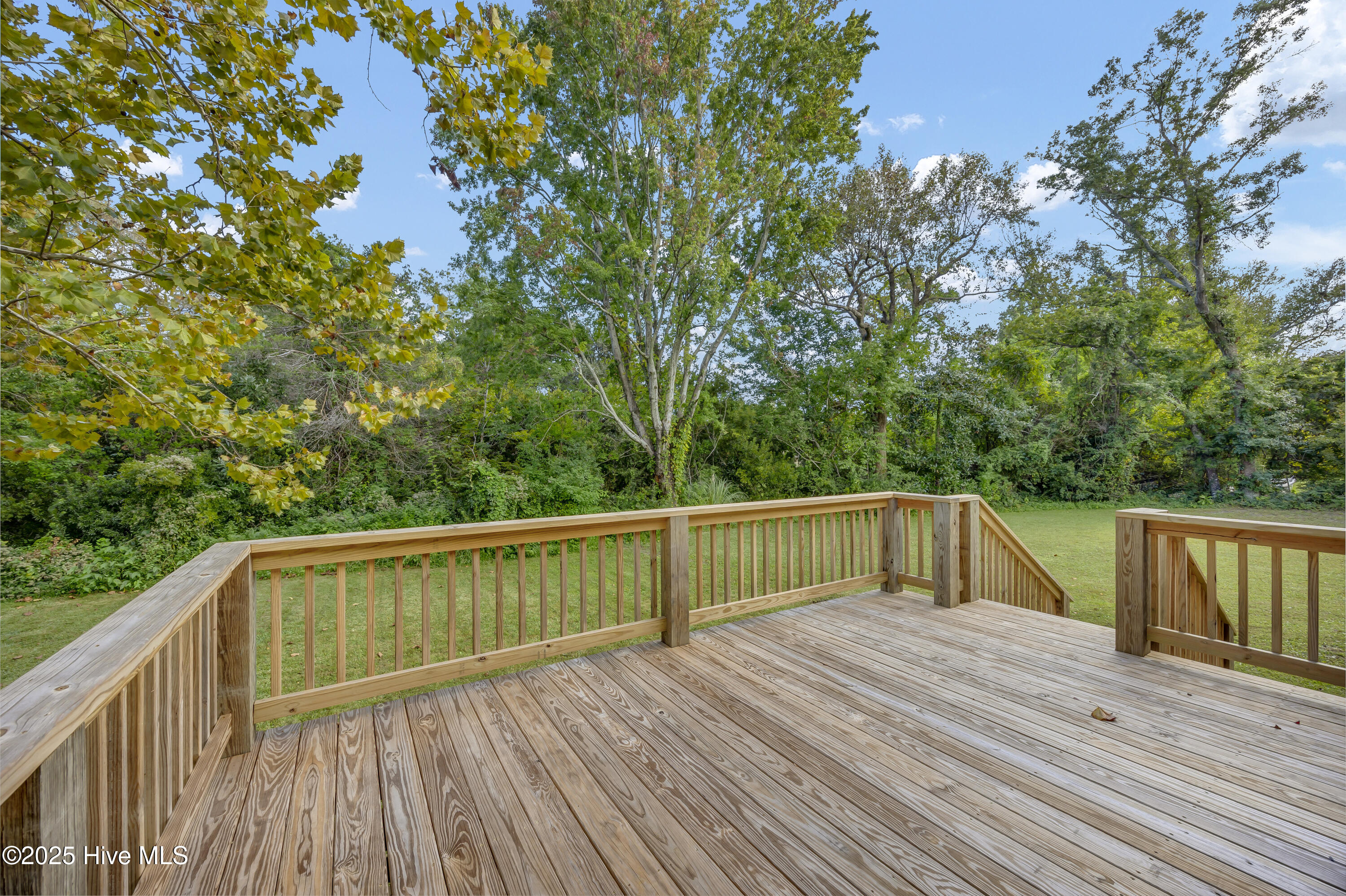 100553519 | Photo 32