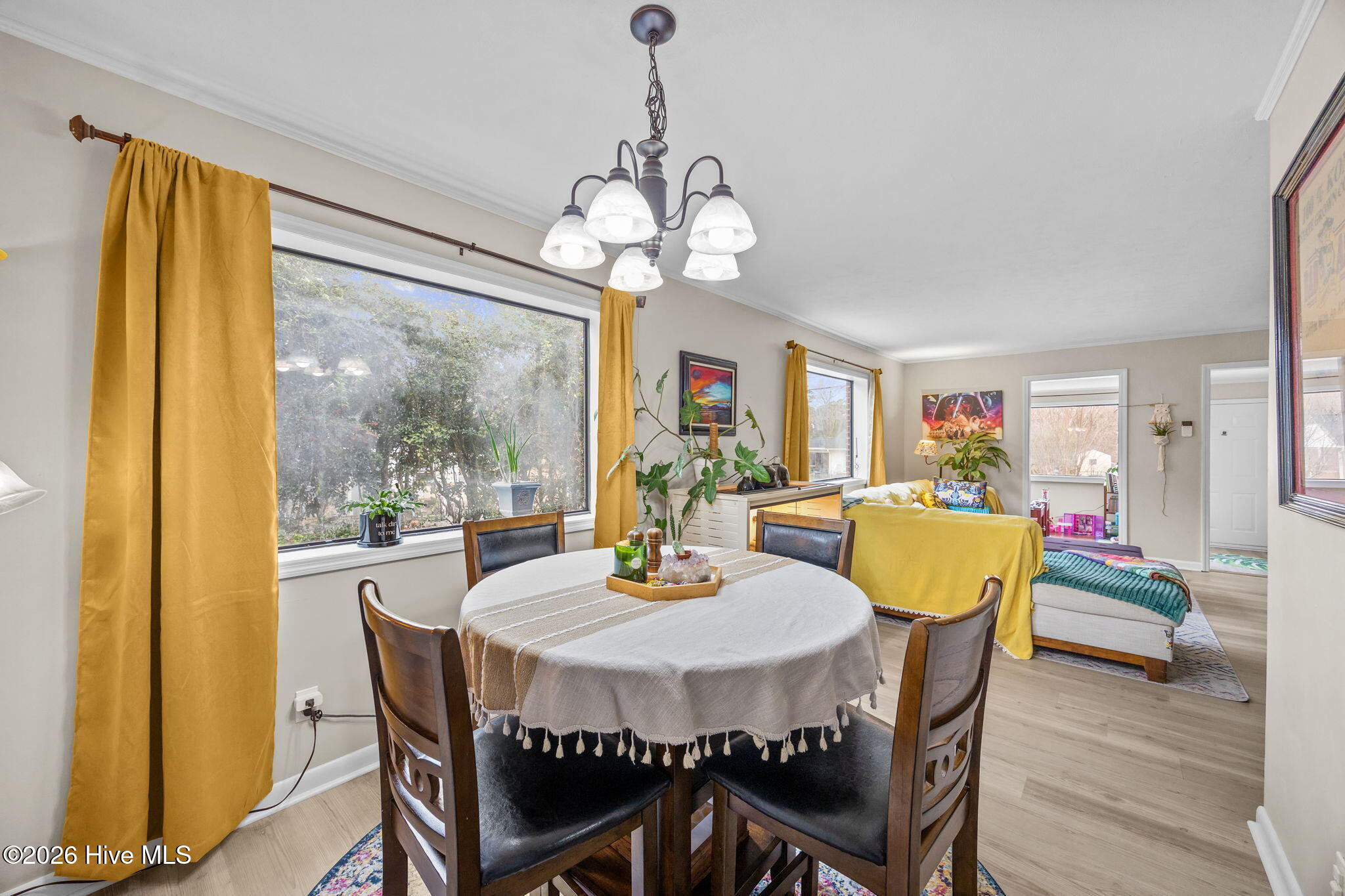 100555737 | Photo 11