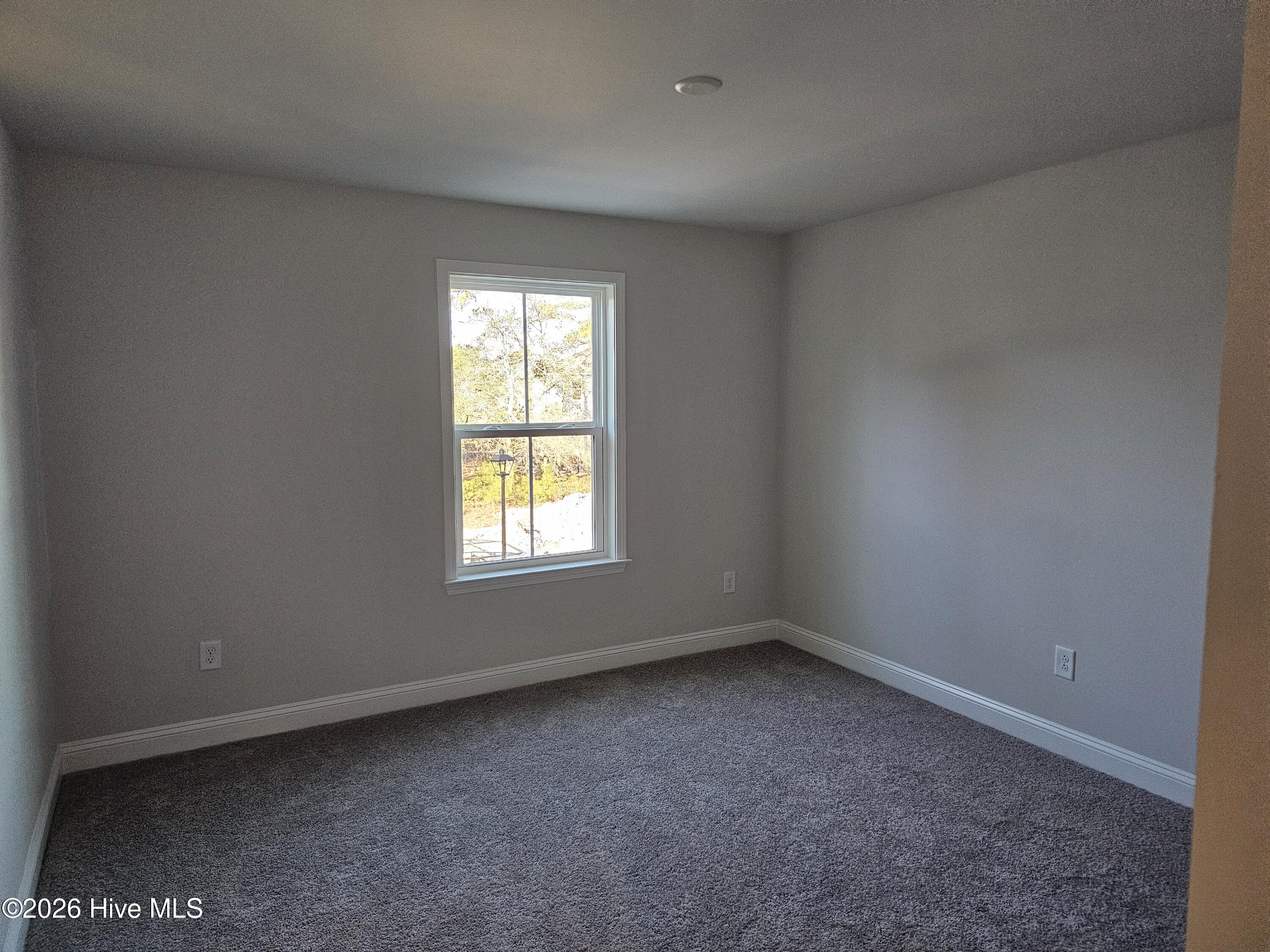 100531548 | Photo 26