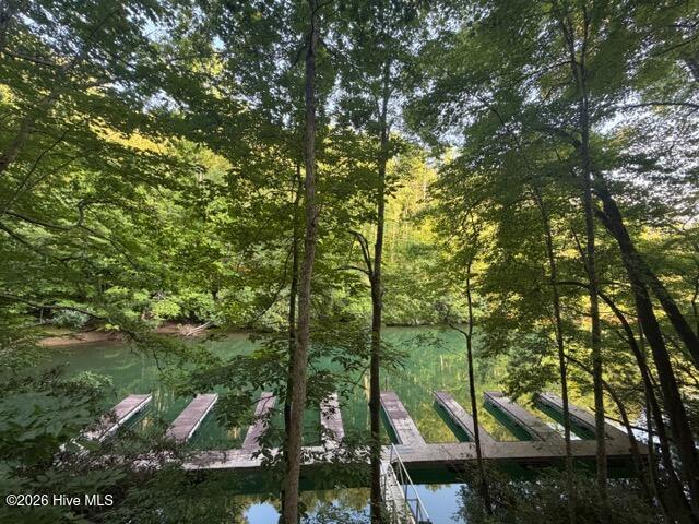 19th image of 13 Little Choga Rd, Topton, NC 28781 | MLS# 100595519