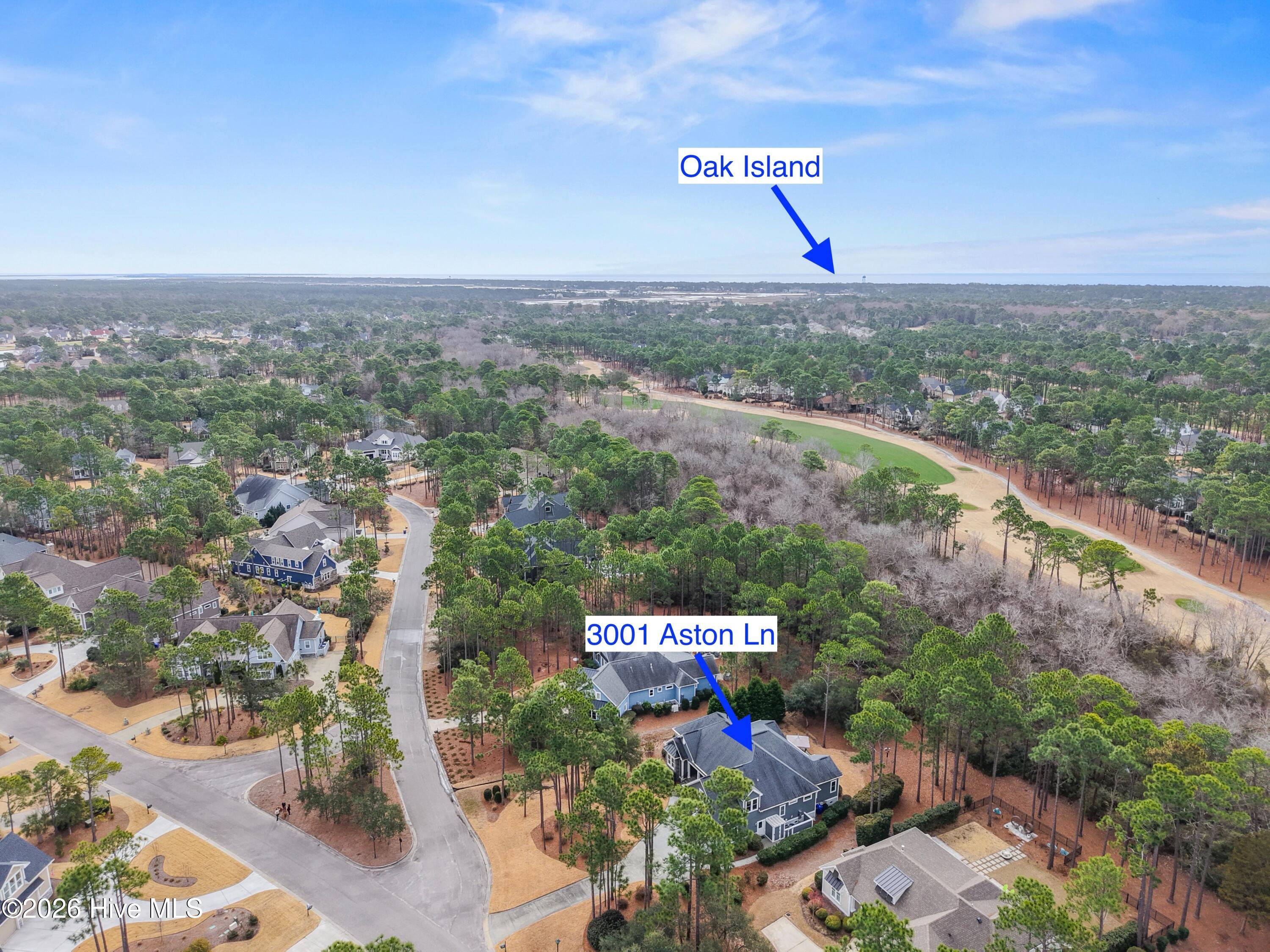 100555606 | Photo 65