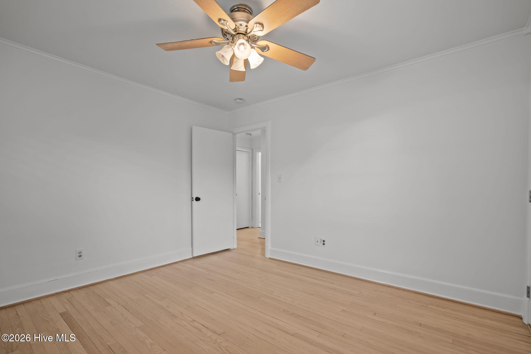 100548221 | Photo 29