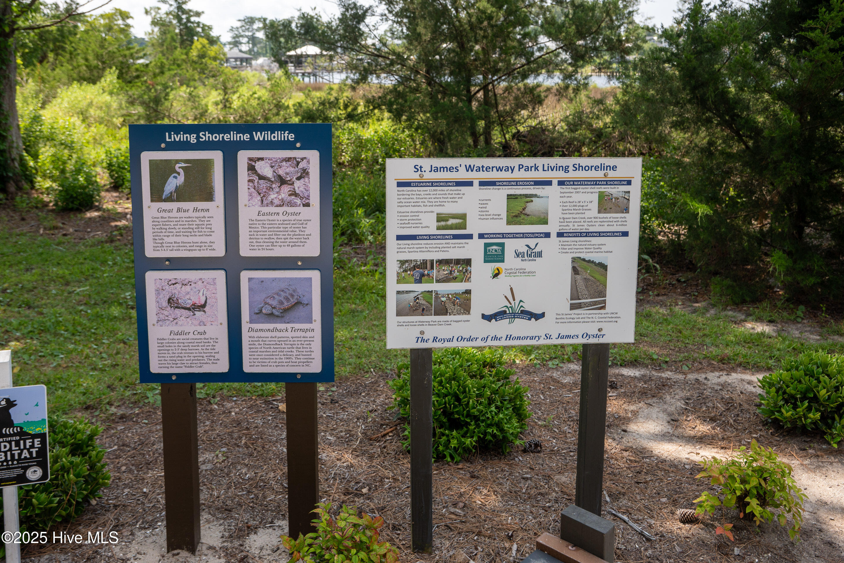 100541746 | Photo 71