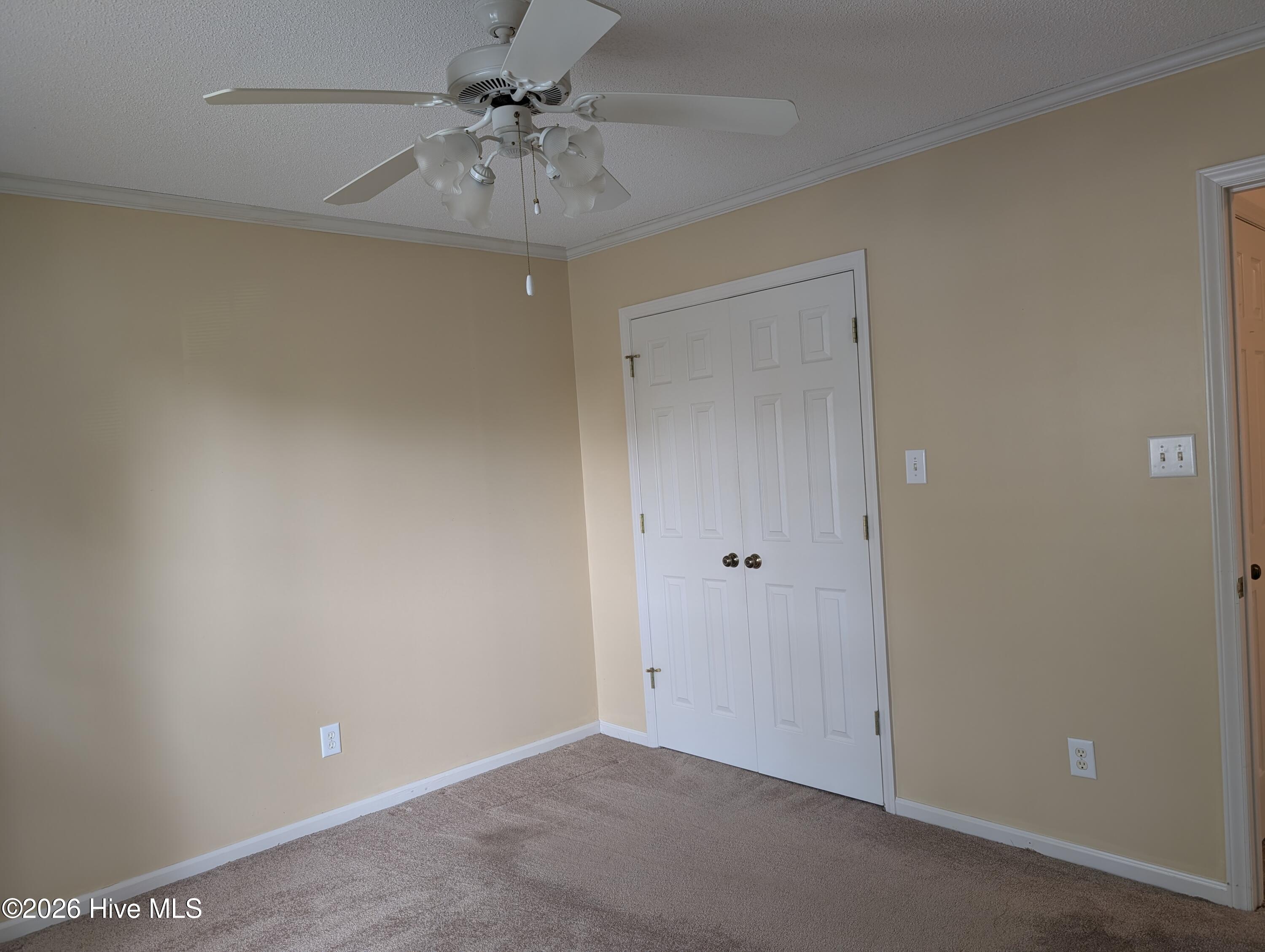 100561832 | Photo 25