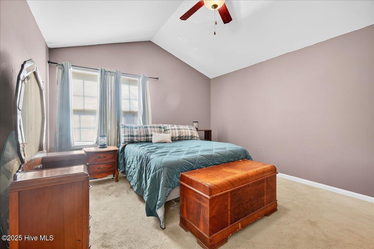 100537745 | Photo 17