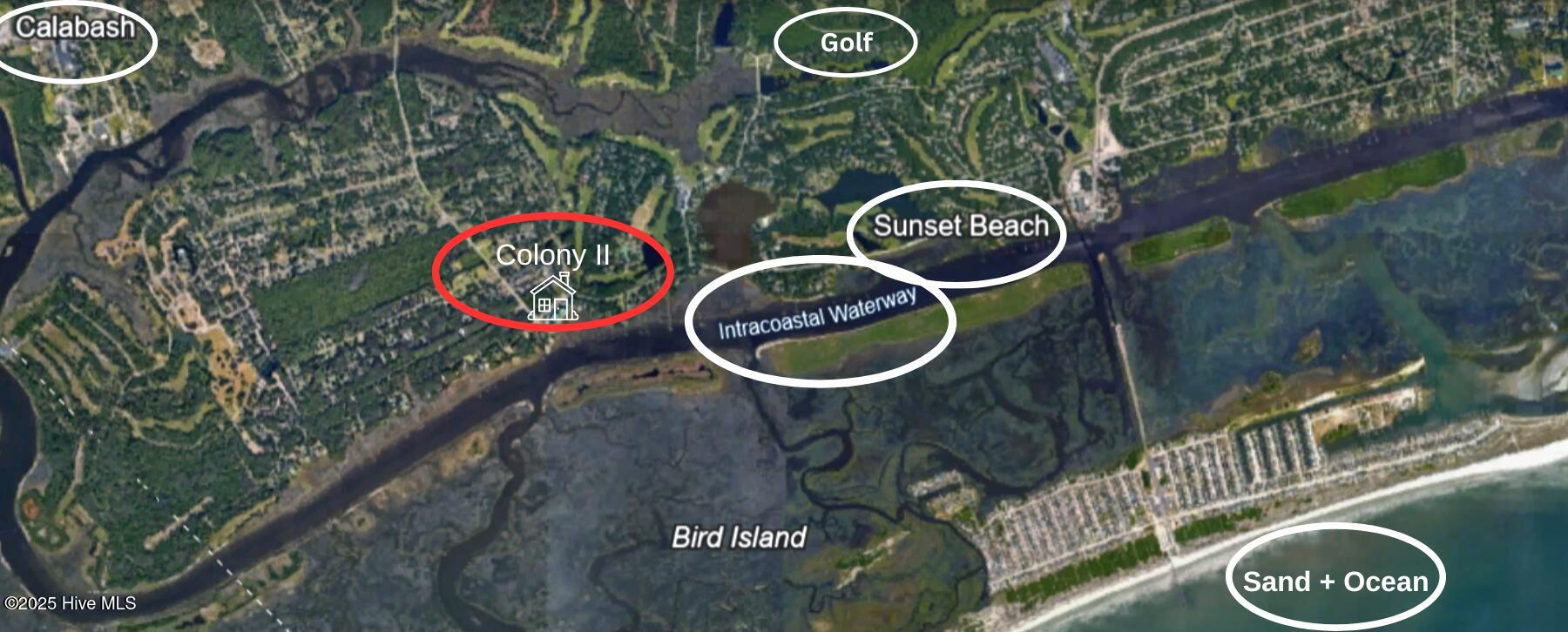 100543239 | Photo 31