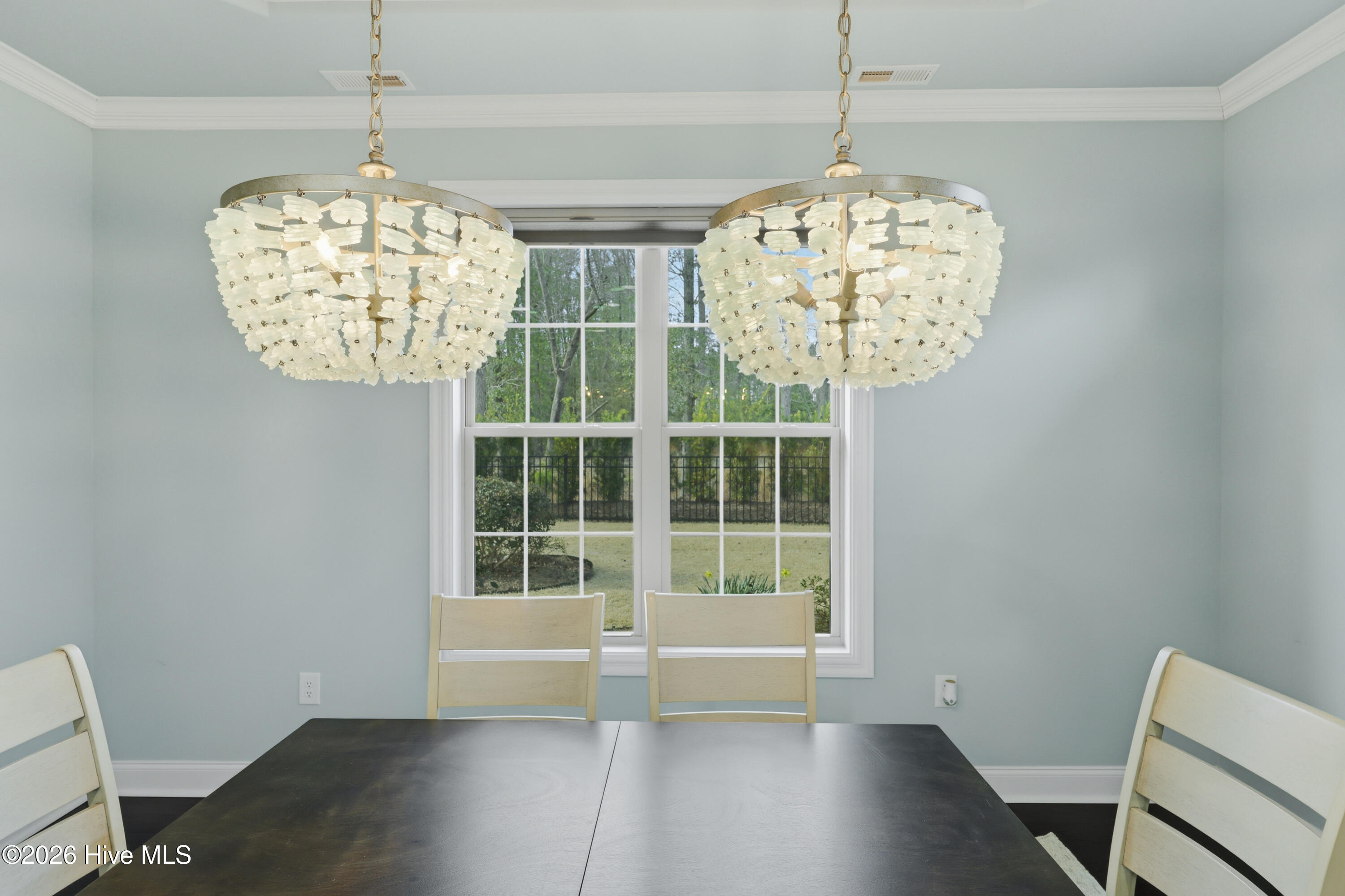 100558541 | Photo 29