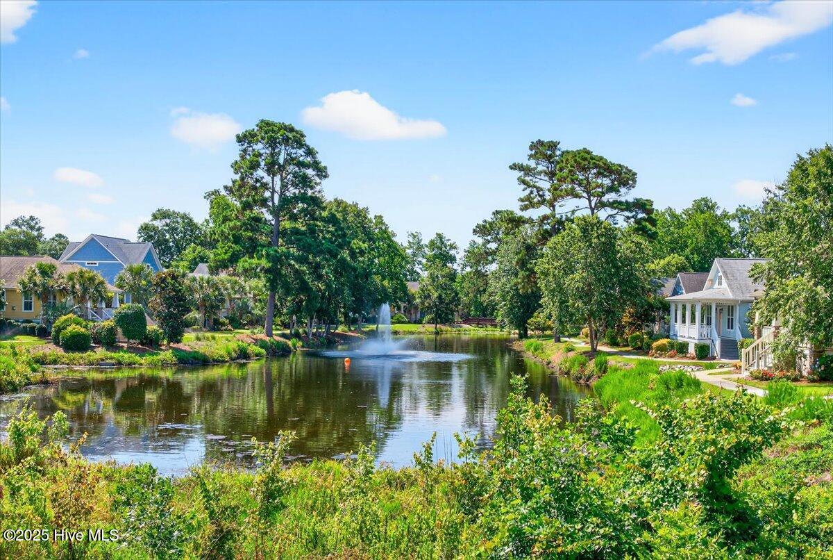 100504765 | Photo 54