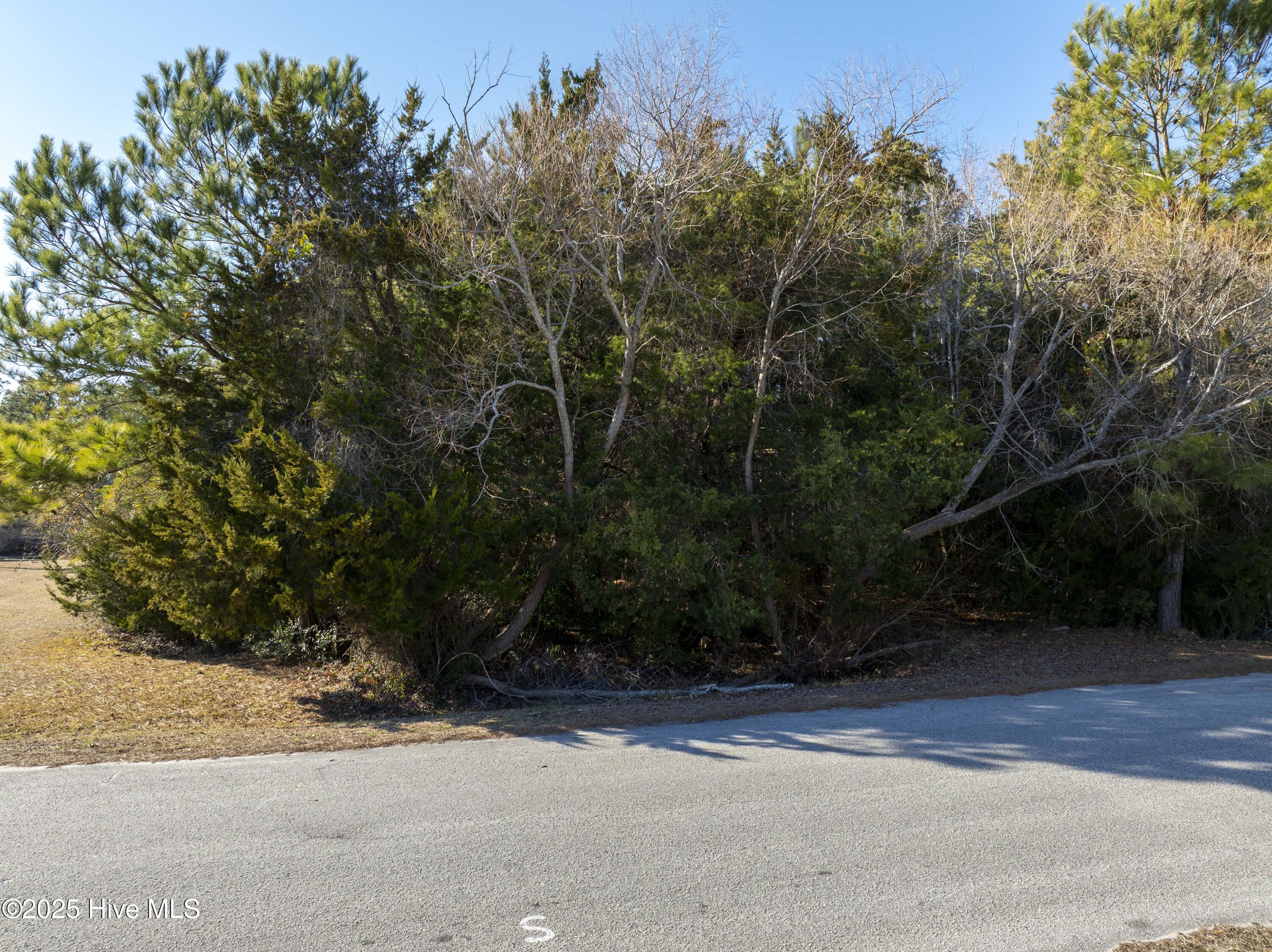 100554512 | Photo 25