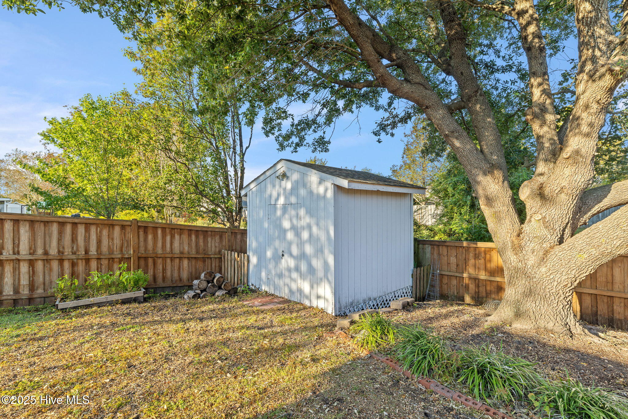 100539678 | Photo 40