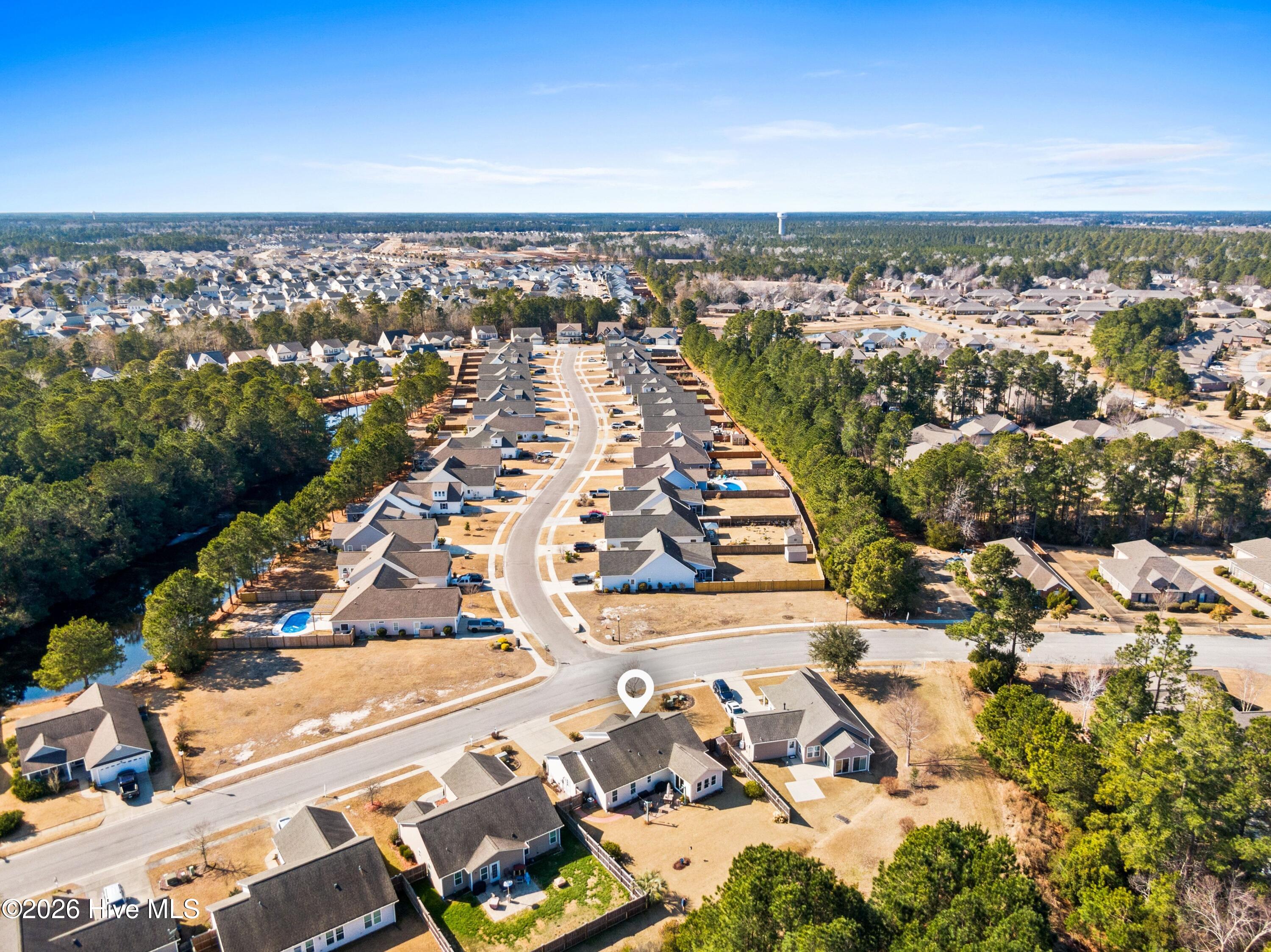 100554021 | Photo 41